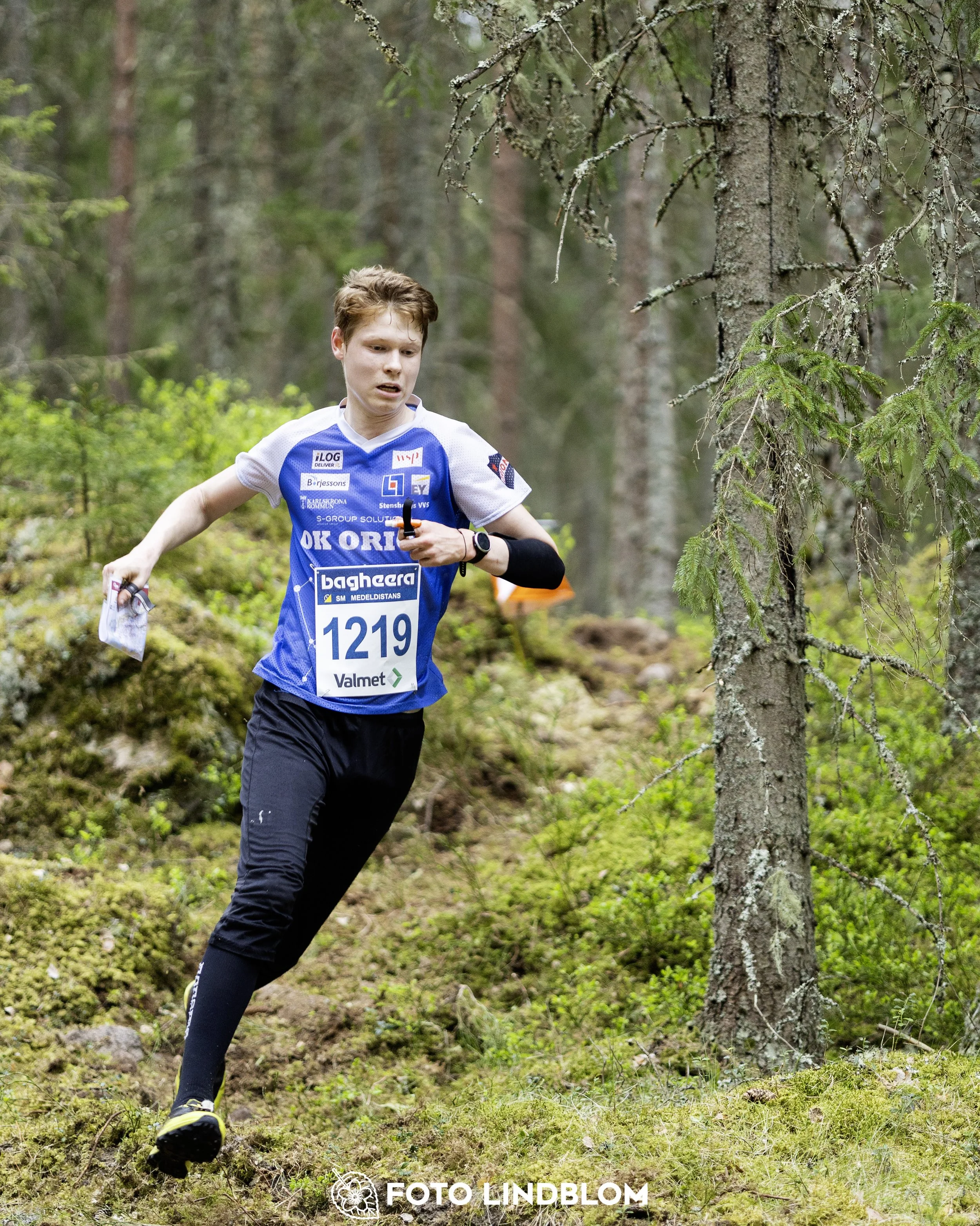 A picture from the Swedish national championship in middle distance orienteering and Swedish league race