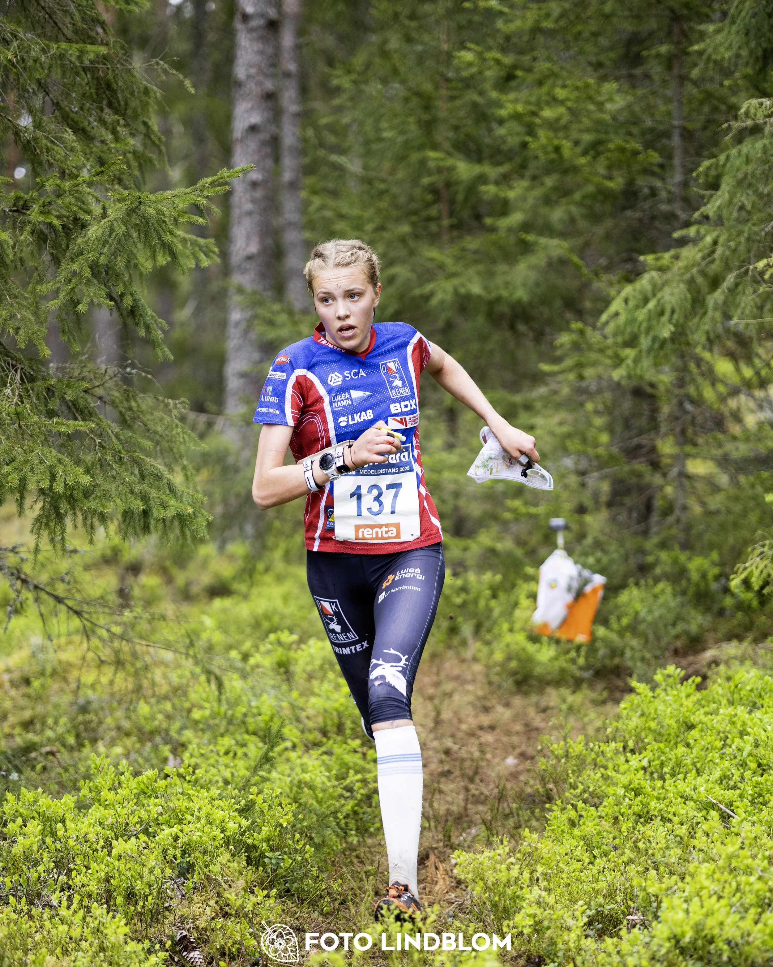 A picture from the Swedish national championship in middle distance orienteering and Swedish league race
