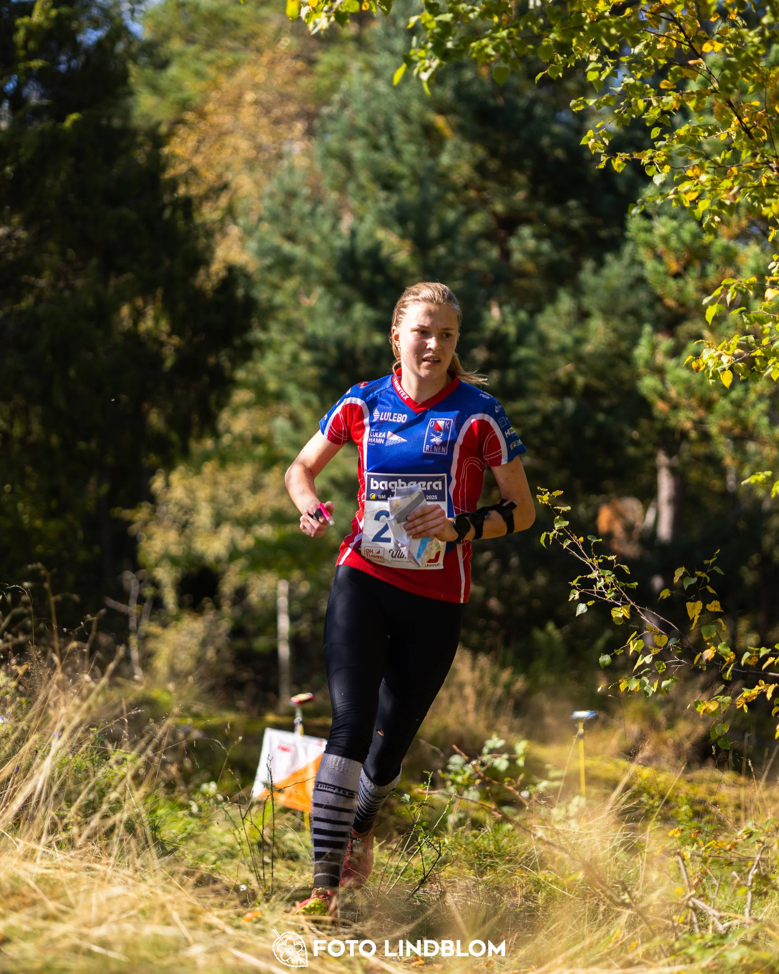 A picture from the Swedish national championship in long distance orienteering and Swedish league race taken by Foto Lindblom