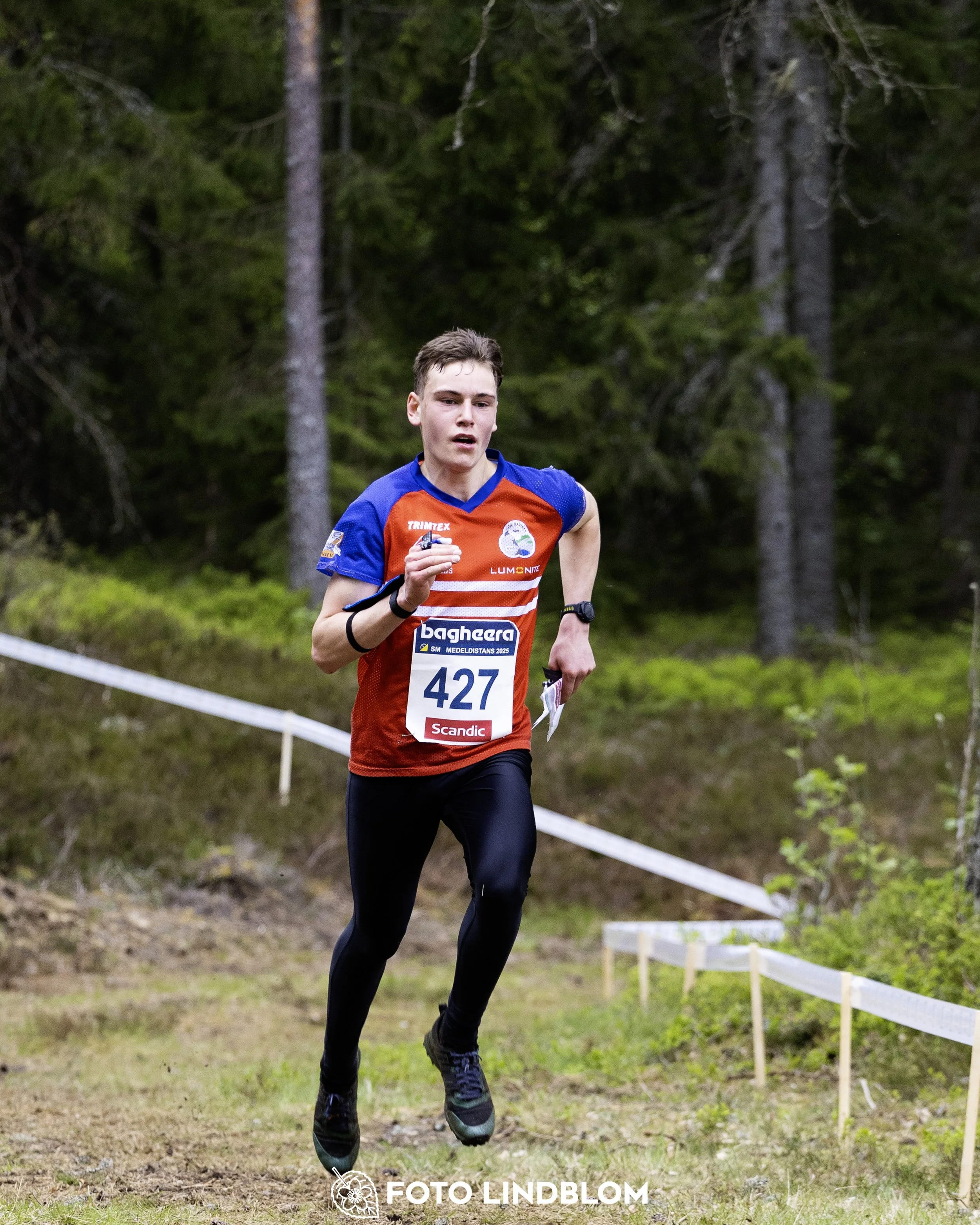 A picture from the Swedish national championship in middle distance orienteering and Swedish league race