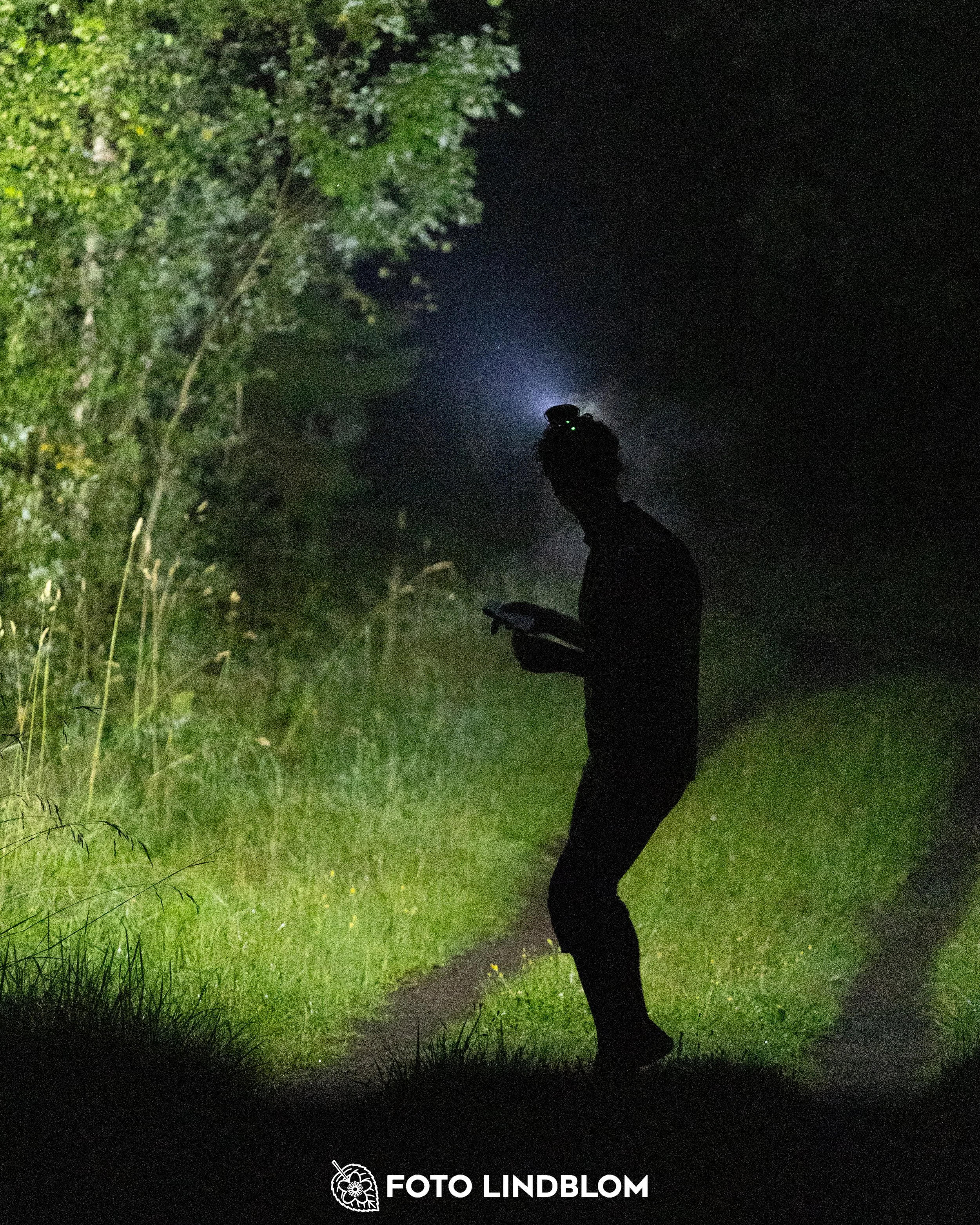 A picture from the youth 10 mila orienteering competition taken by Foto Lindblom