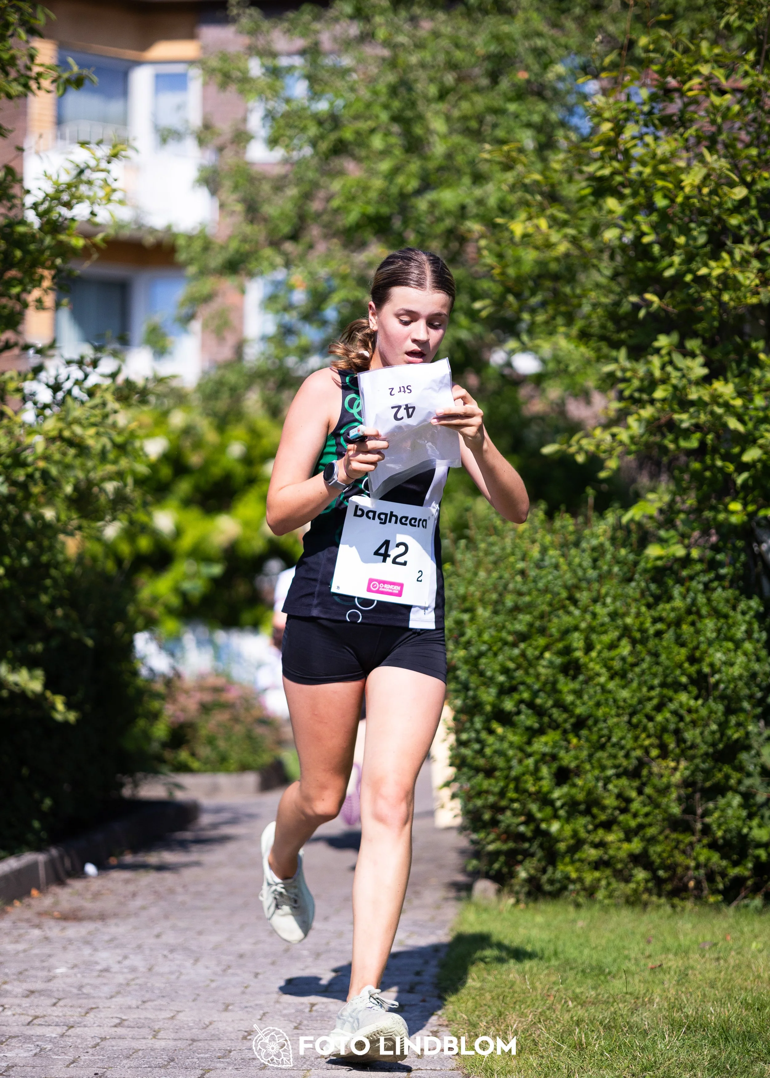 A picture from the Bagheera relay at Oringen 2025