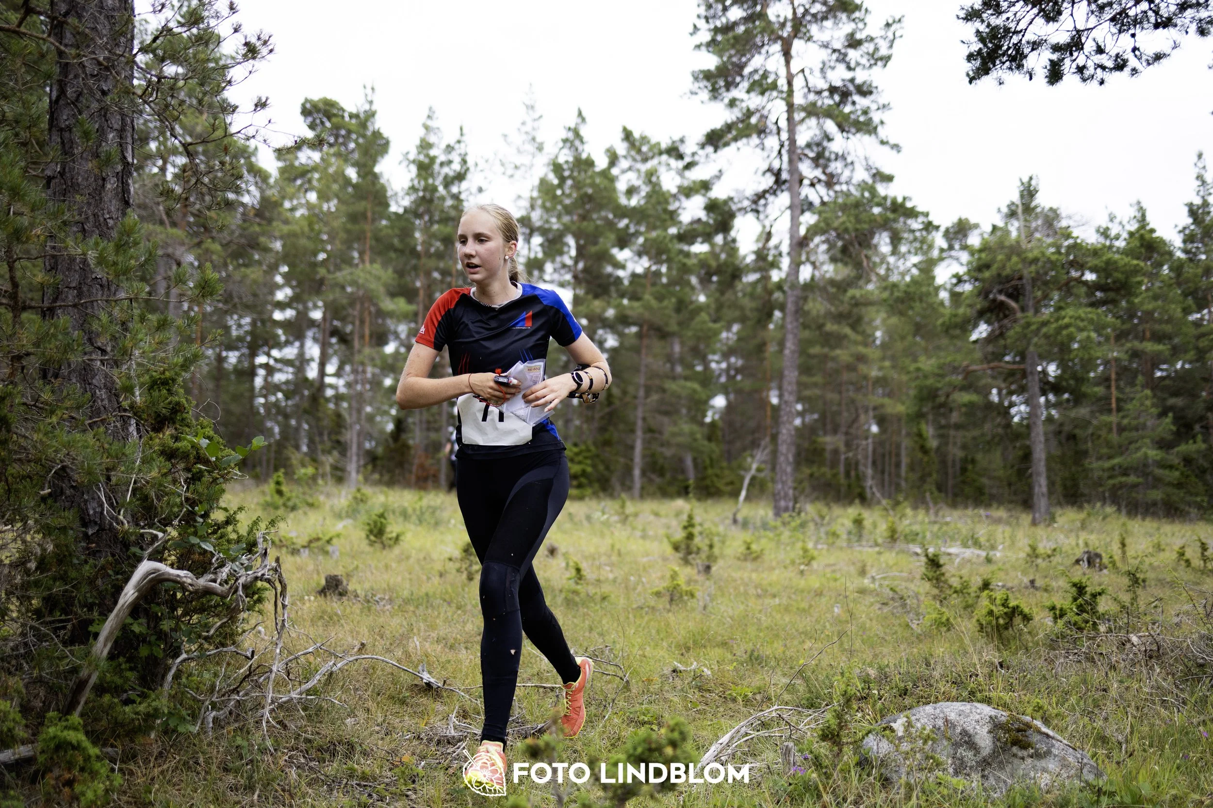 A picture from the Gotlands 2-Dagars orienteering competition