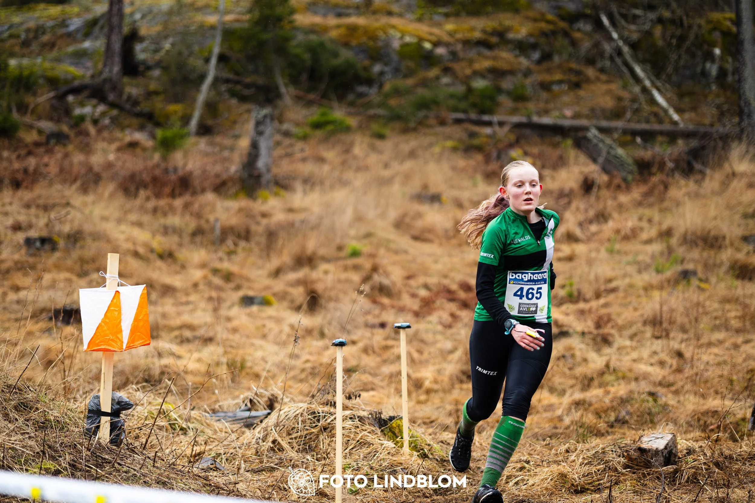 A scene from the Swedish League orienteering competition in Kolmården spring 2026, captured by Foto Lindblom.
