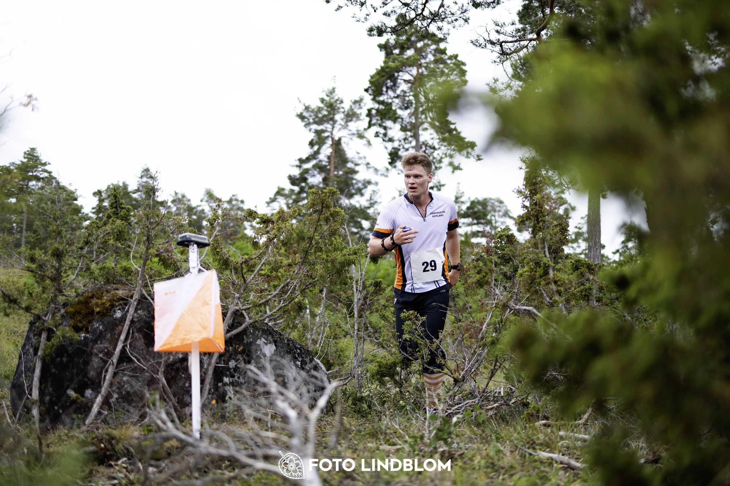 A picture from the Gotlands 2-Dagars orienteering competition