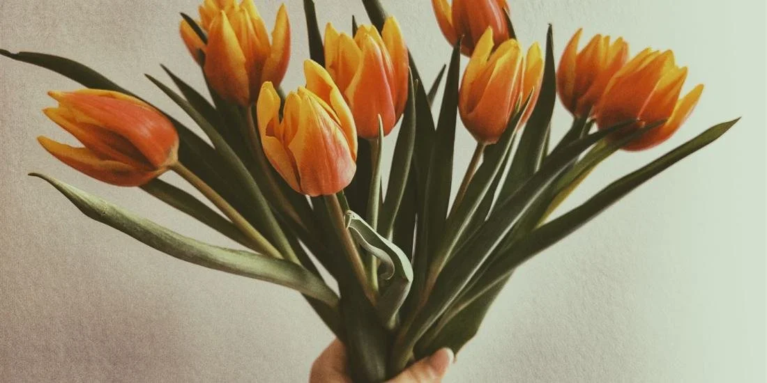 Hand hält einen Blumenstrauß aus orangefarbenen Tulpen vor einem neutralen Hintergrund.