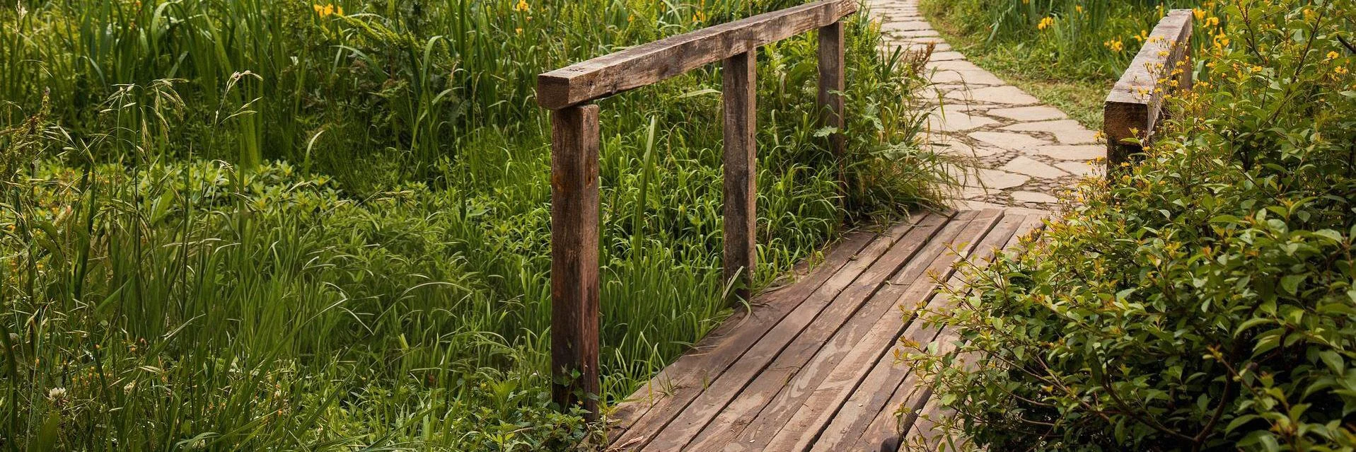Holzbrücke über grasbedeckten Weg, umgeben von grünen Pflanzen und gelben Blumen.