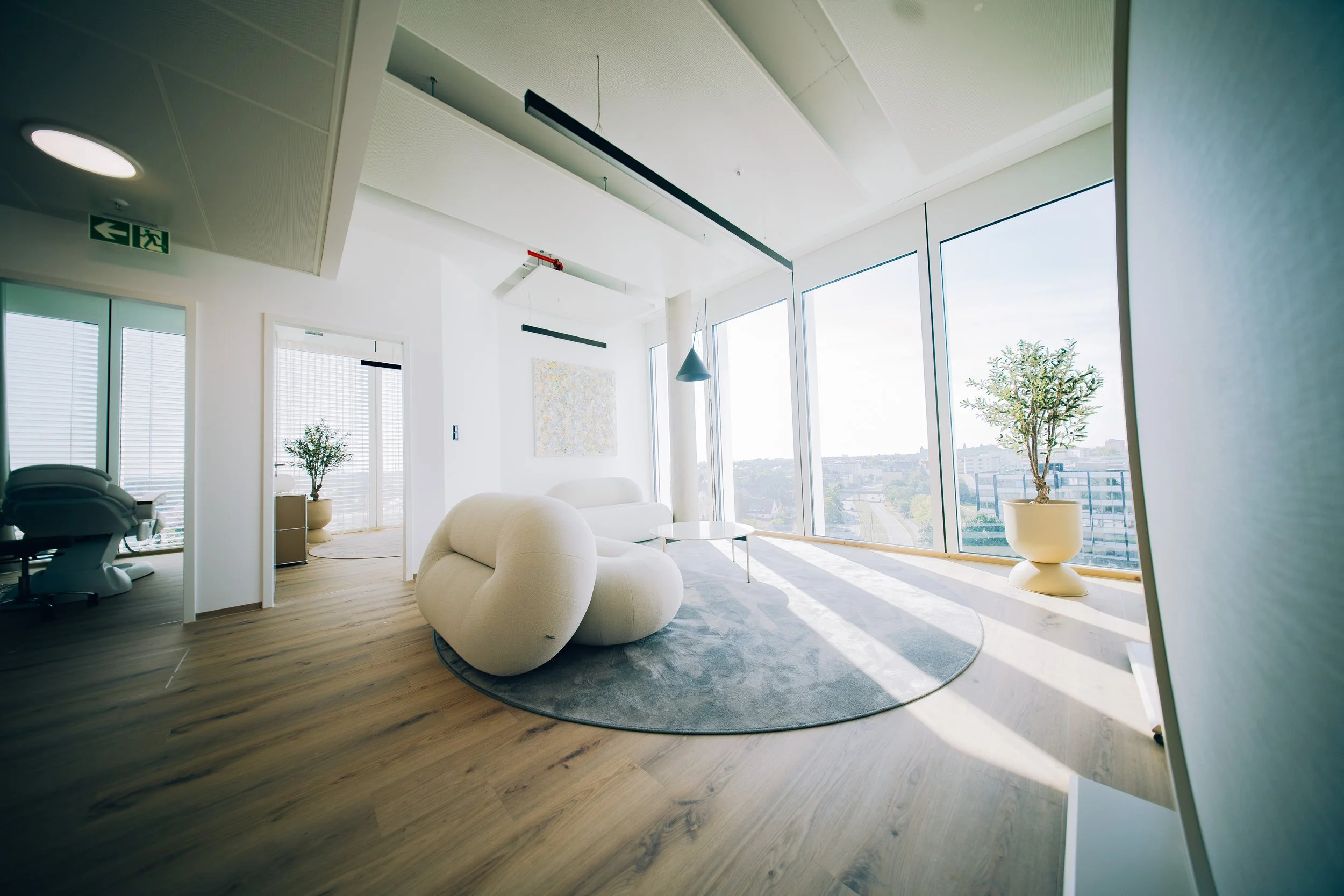 Modern office lounge with large windows, a white curved sofa, a round light gray rug, potted plants, and sunlight streaming in.