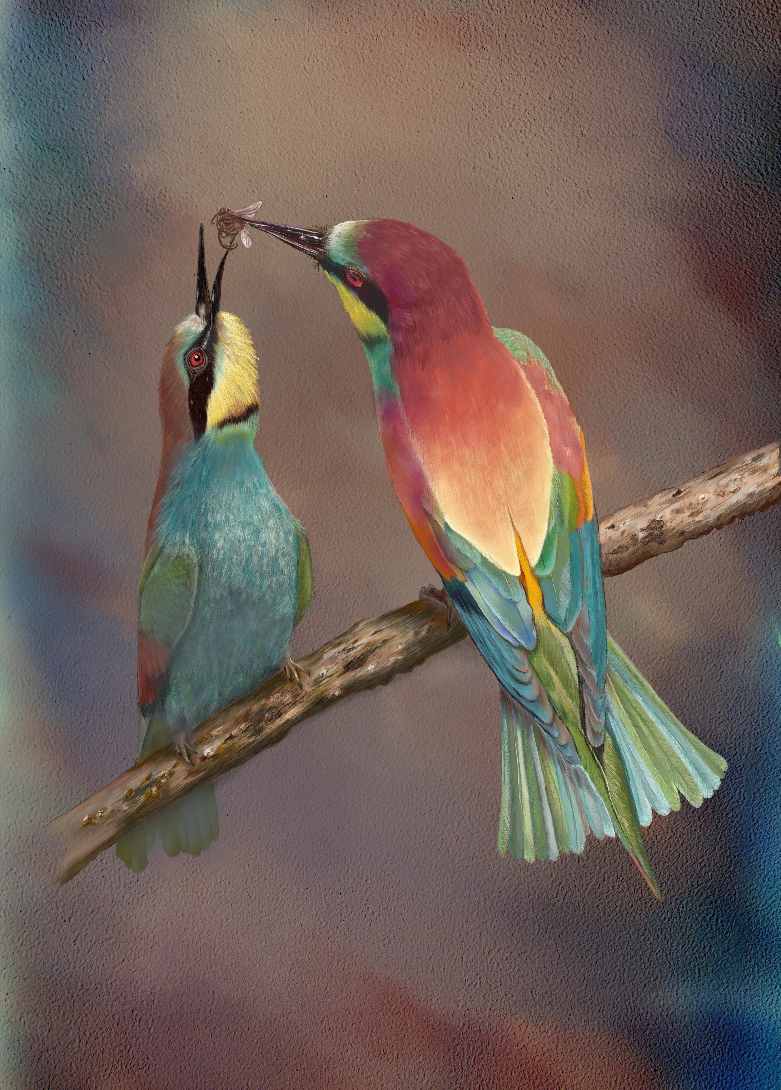 Rainbow Bee-Eater.jpg