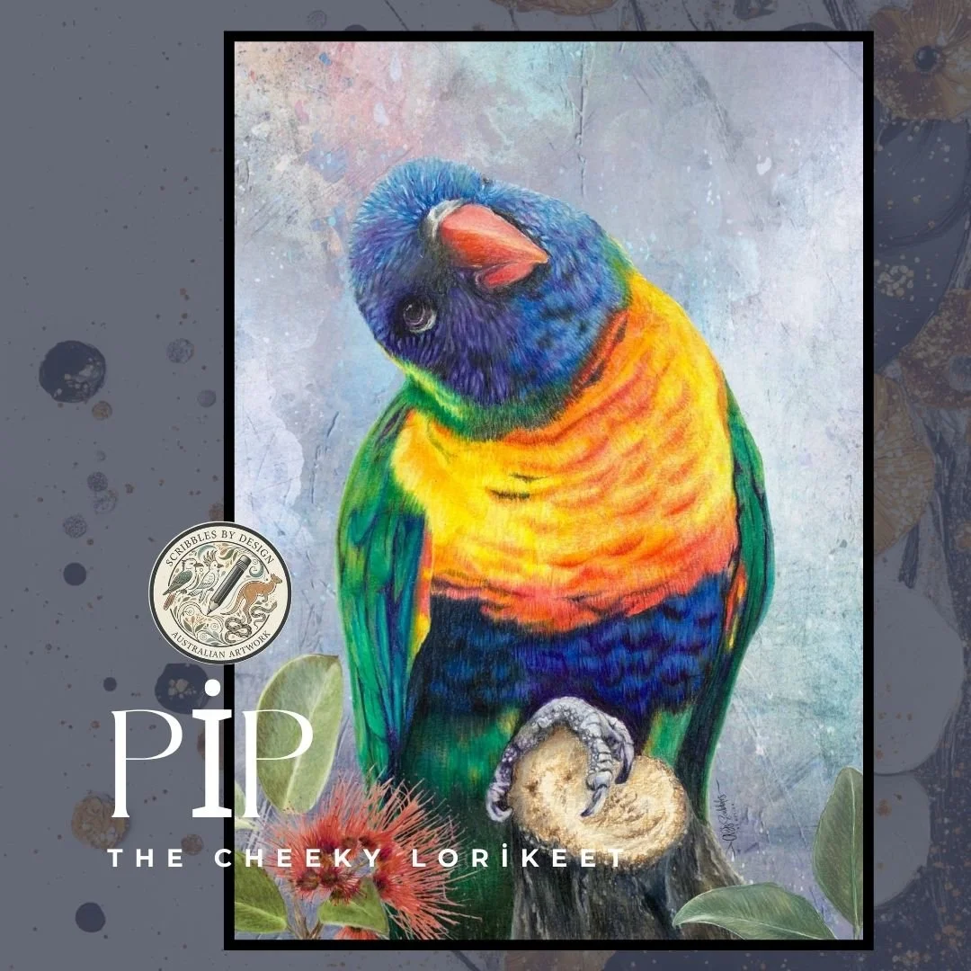 Pip the Lorikeet
