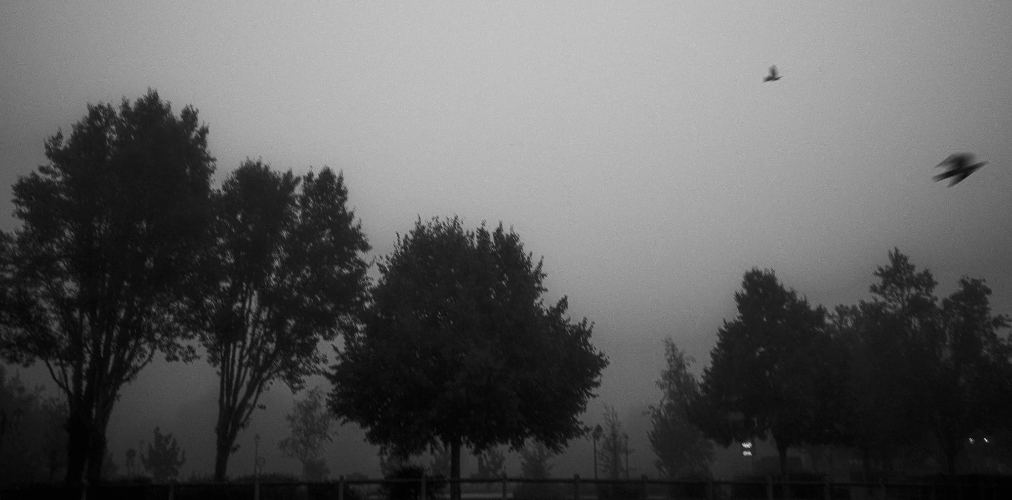 DSCF1077_2048px.jpg
