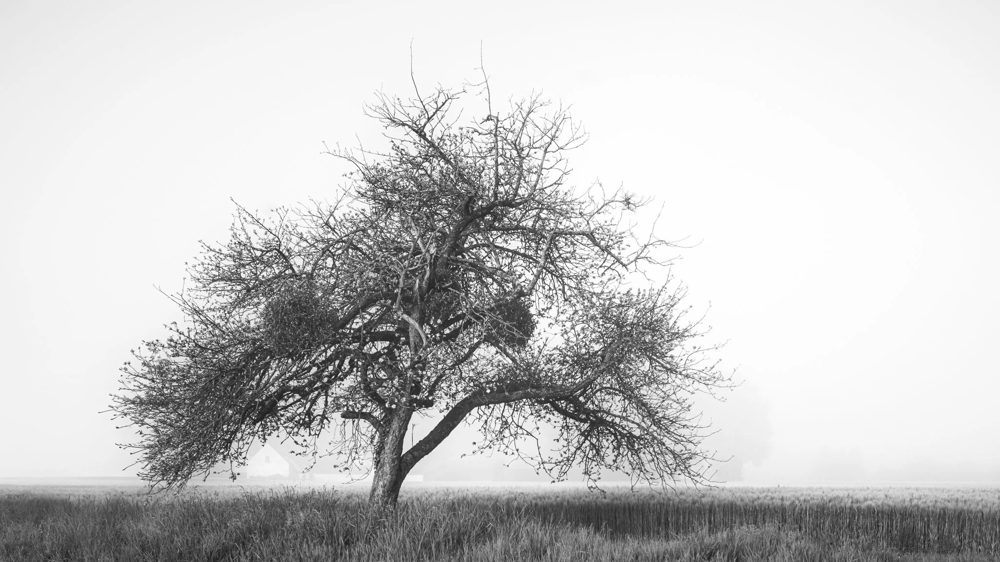 L1003685_2048px-3.jpg