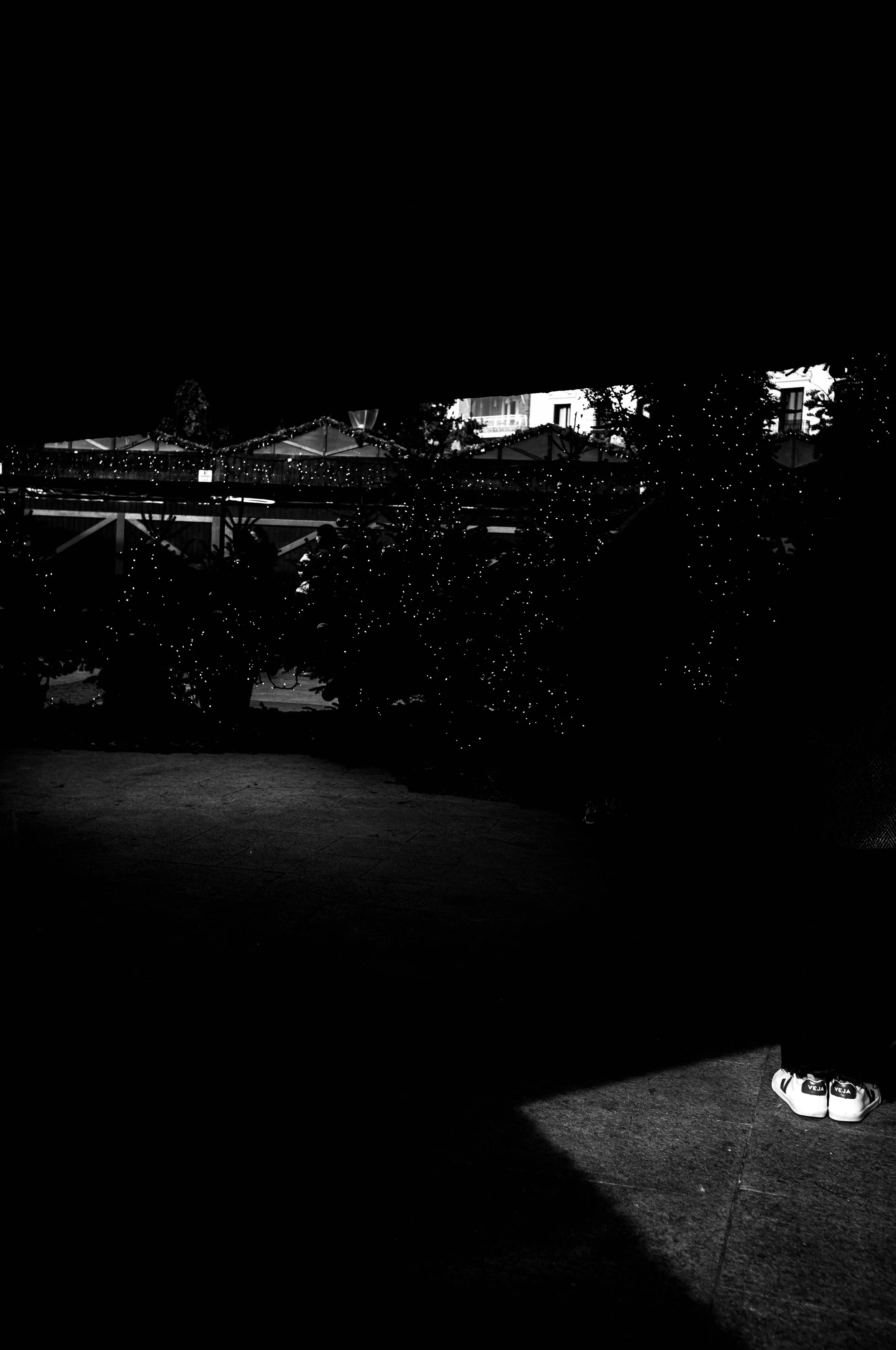 L1008808.jpg
