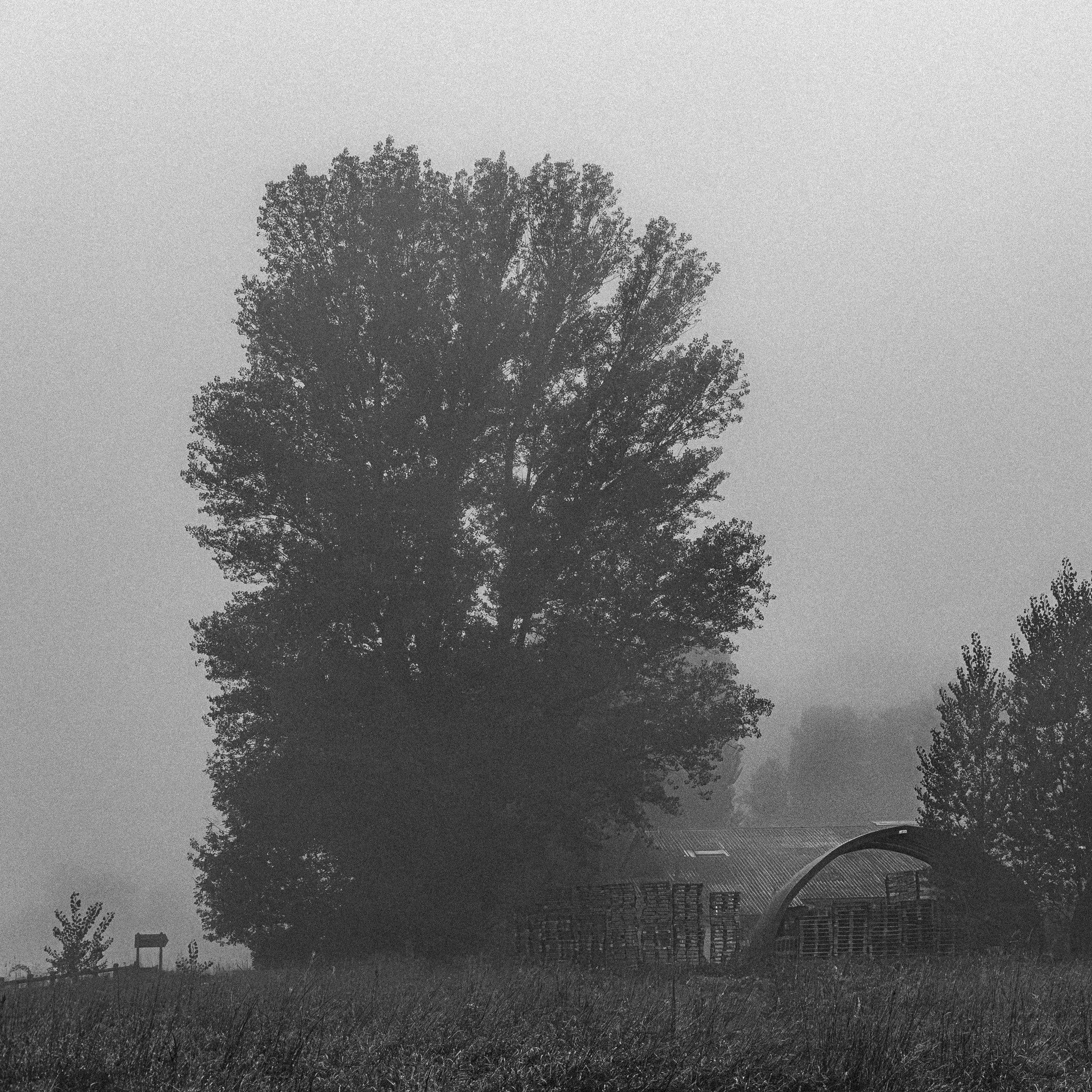 _DSF3756_2048px.jpg