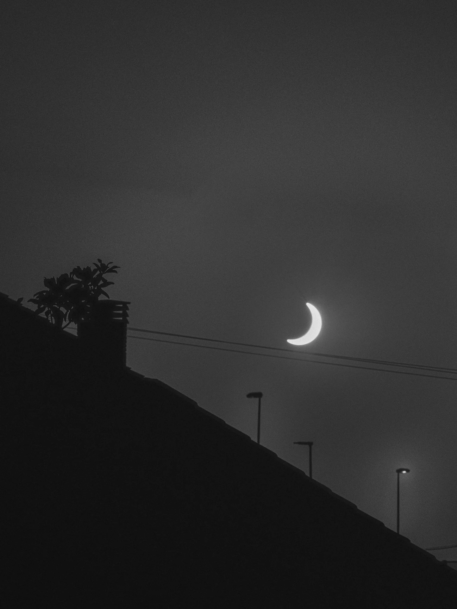 L1001028_2048px.jpg