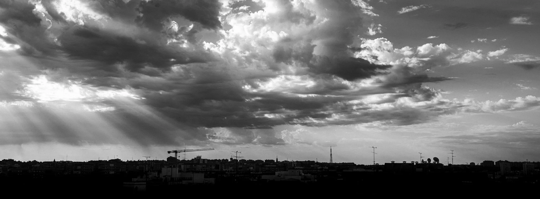 L1000406_2048px.jpg