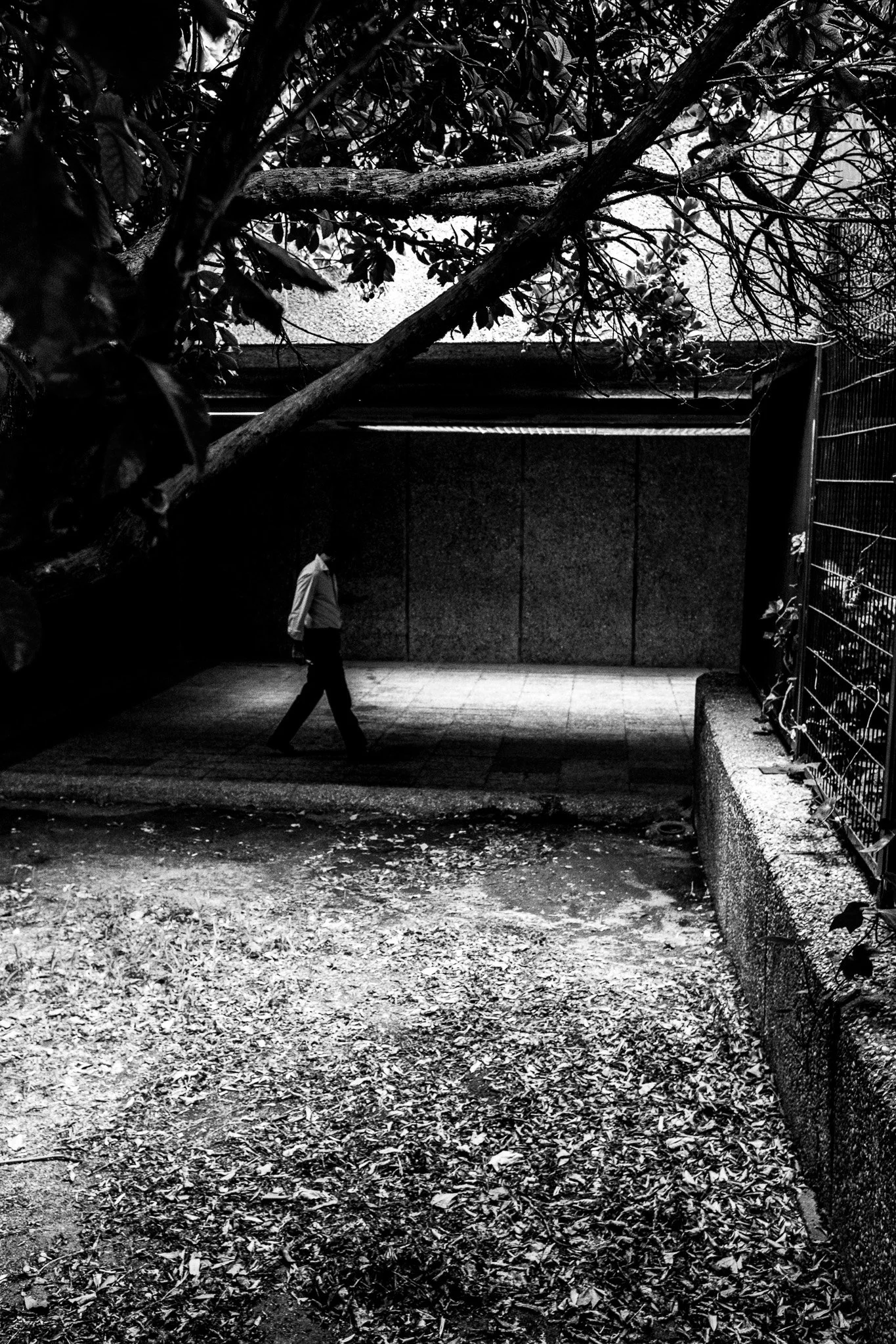 Hombre caminando por un espacio exterior con árboles y una pared de fondo, en blanco y negro.