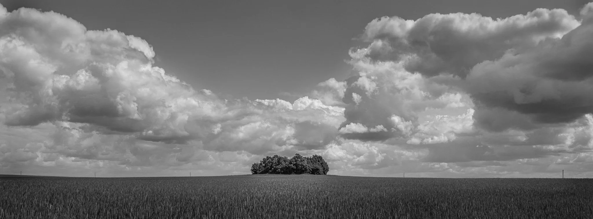L1004310_2048px.jpg