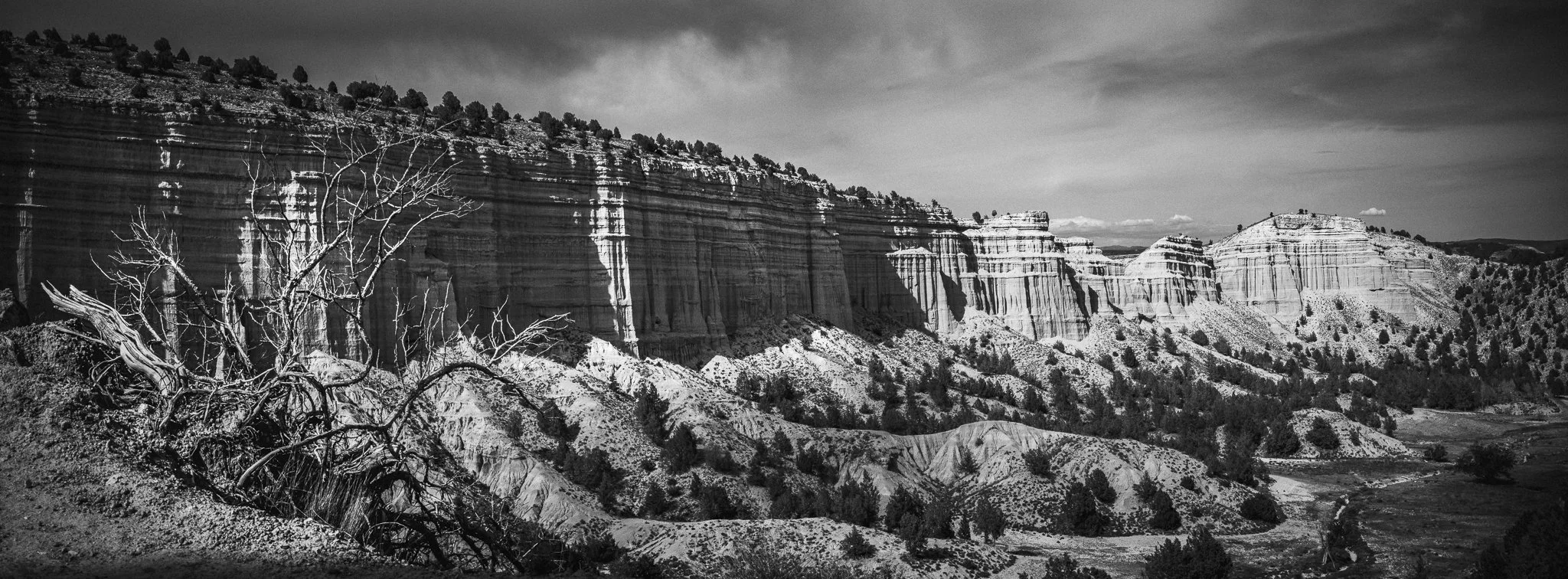 L1003128-Pano_2048px.jpg