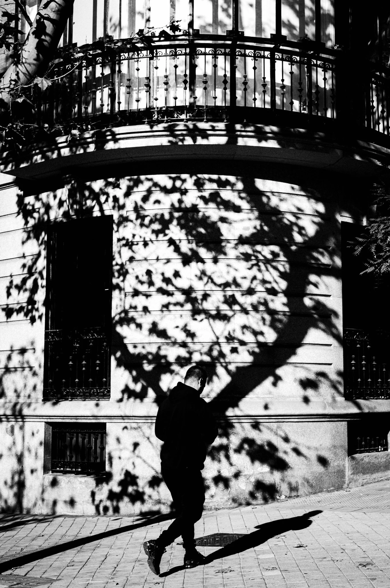 Persona caminando en la calle con sombra de árbol proyectada en la pared de un edificio.