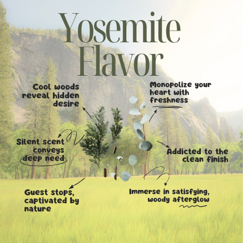 Copy of yosemite.png