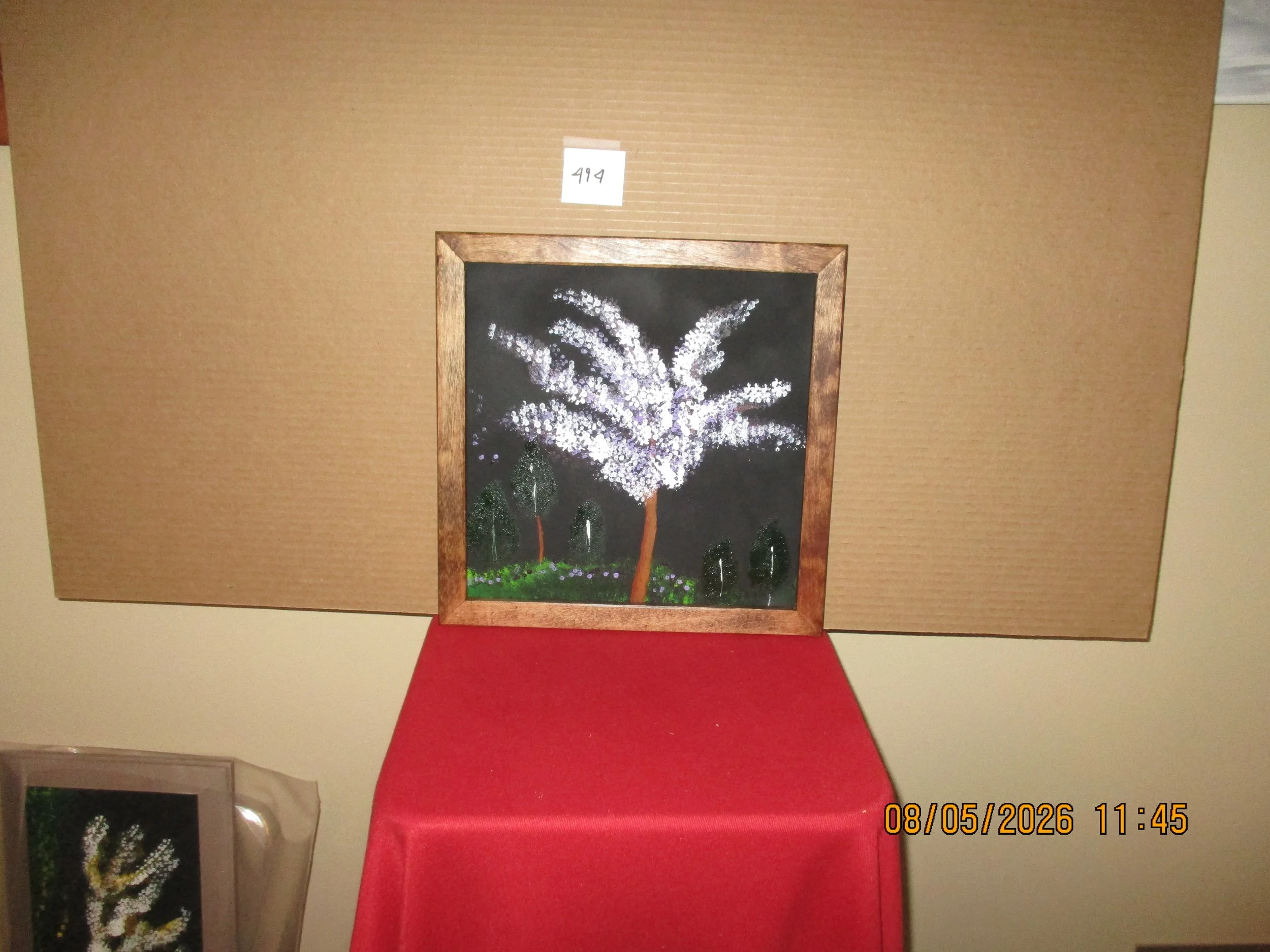 item 494.JPG