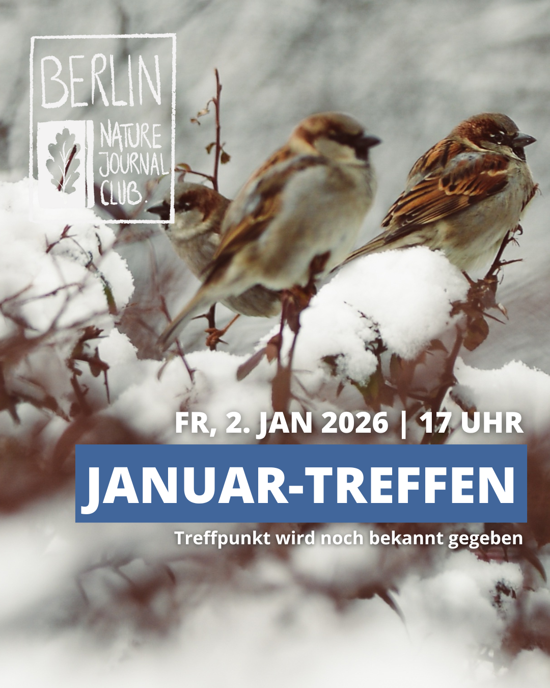 Januar-Treffen