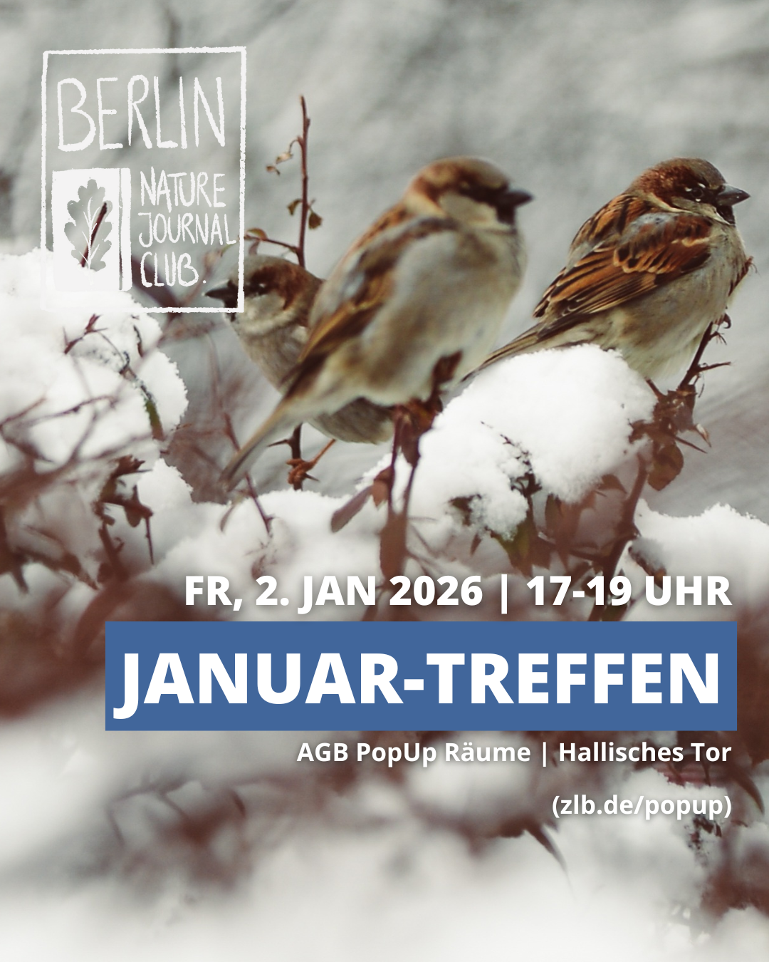 Januar-Treffen