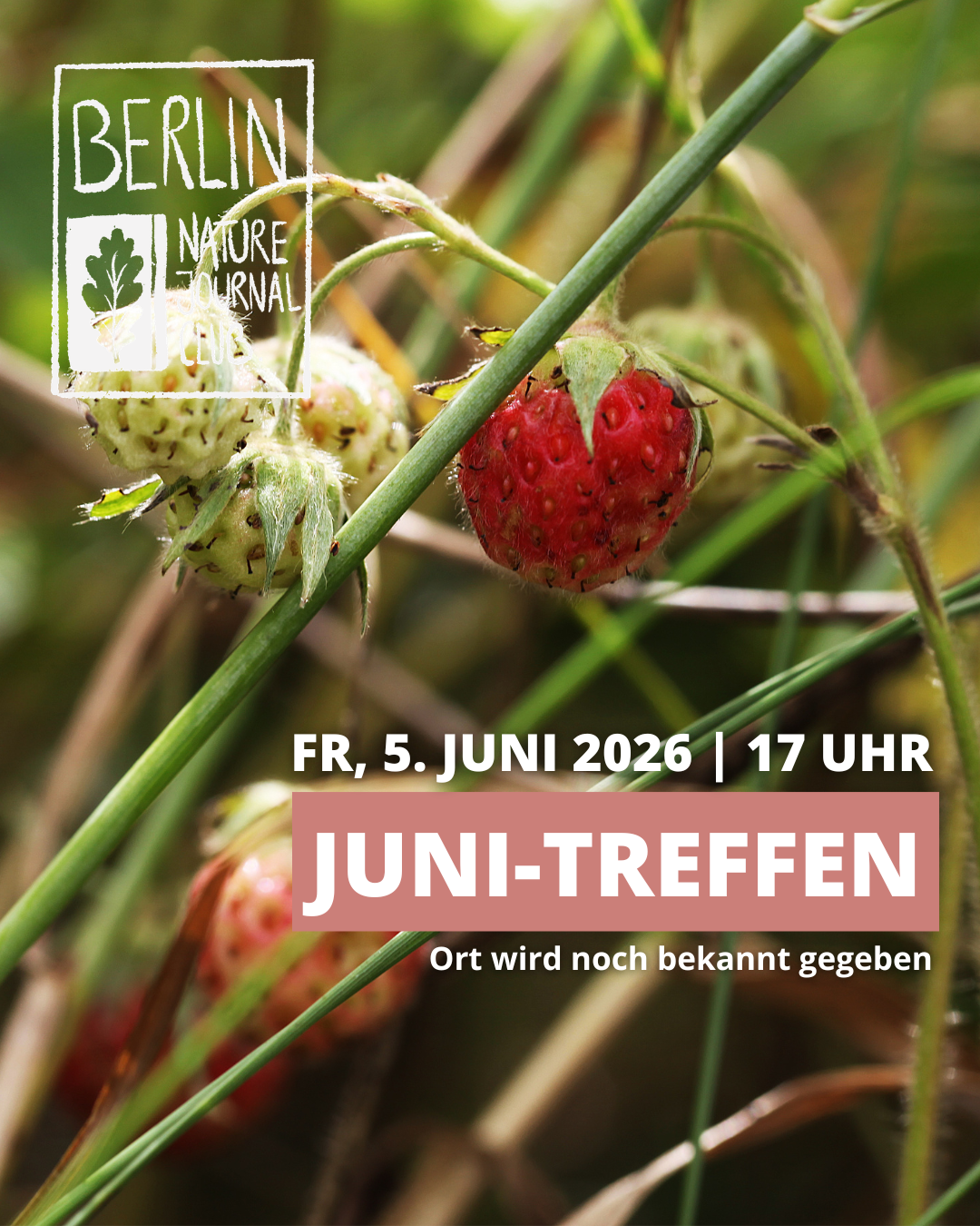 Juni-Treffen 