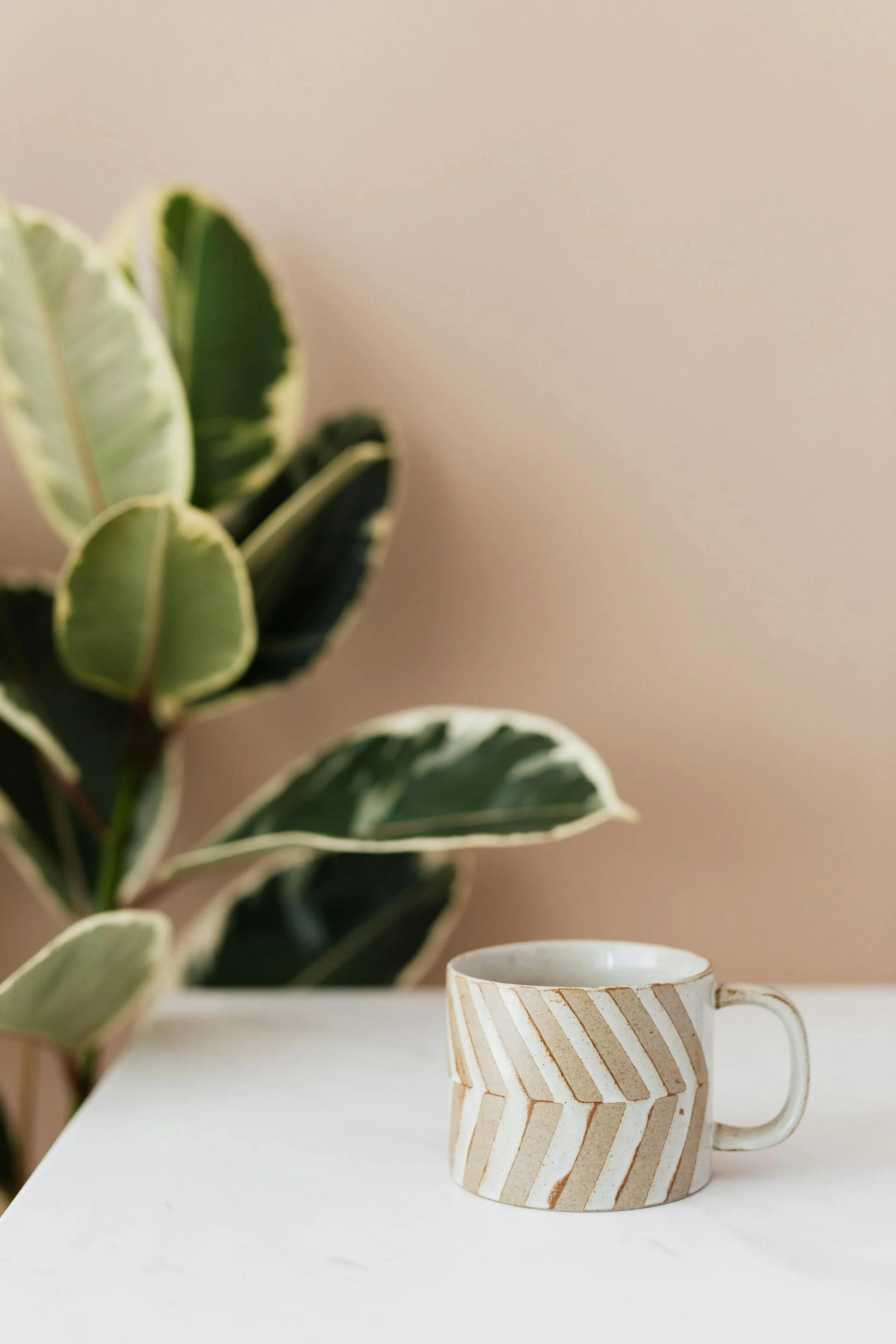 A ceramic mug with a beige and white chevron pattern sits on a white surface with a large green and white variegated plant in the background.