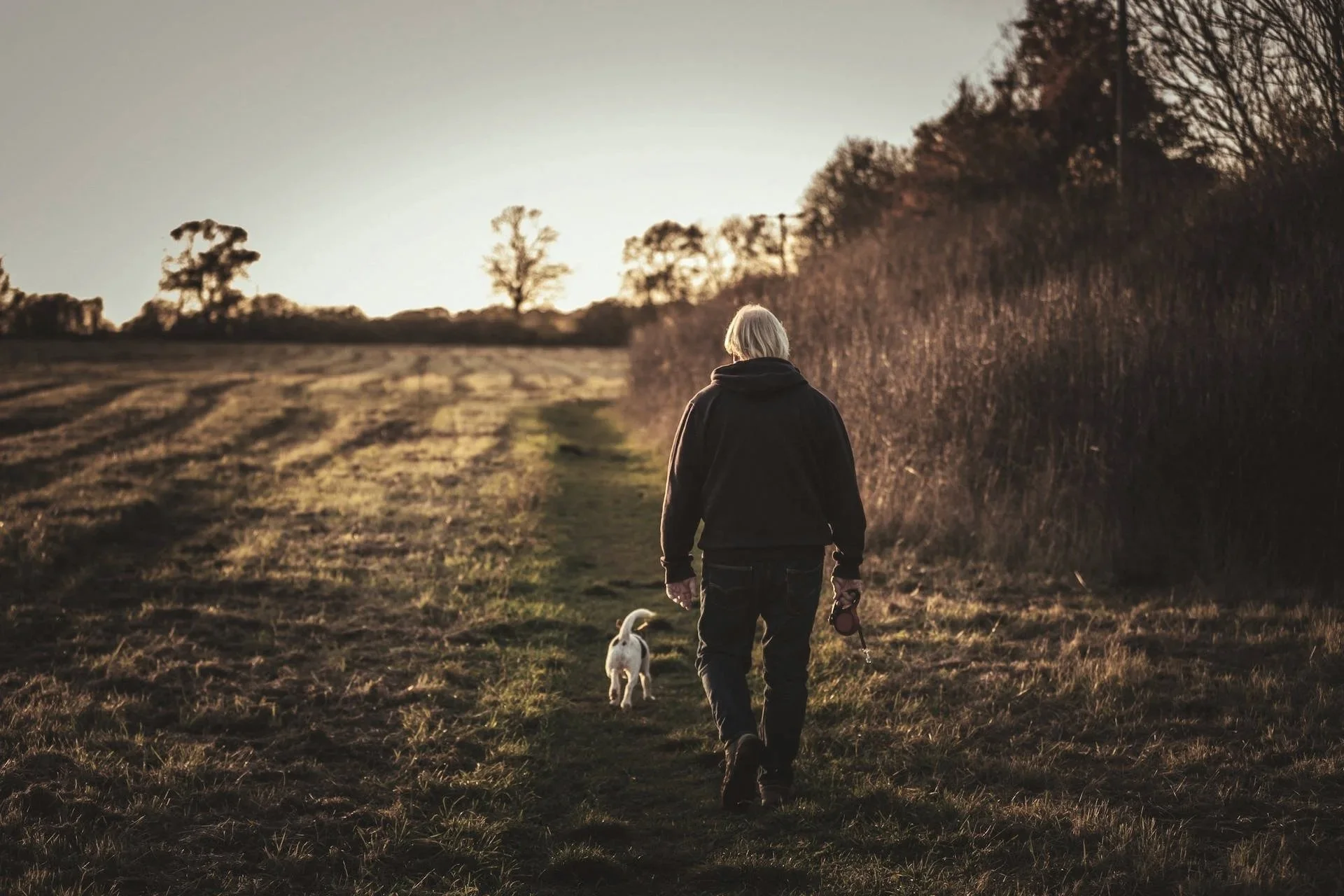 Person walking on a grassy trail with a dog during sunset, surrounded by open fields and trees.