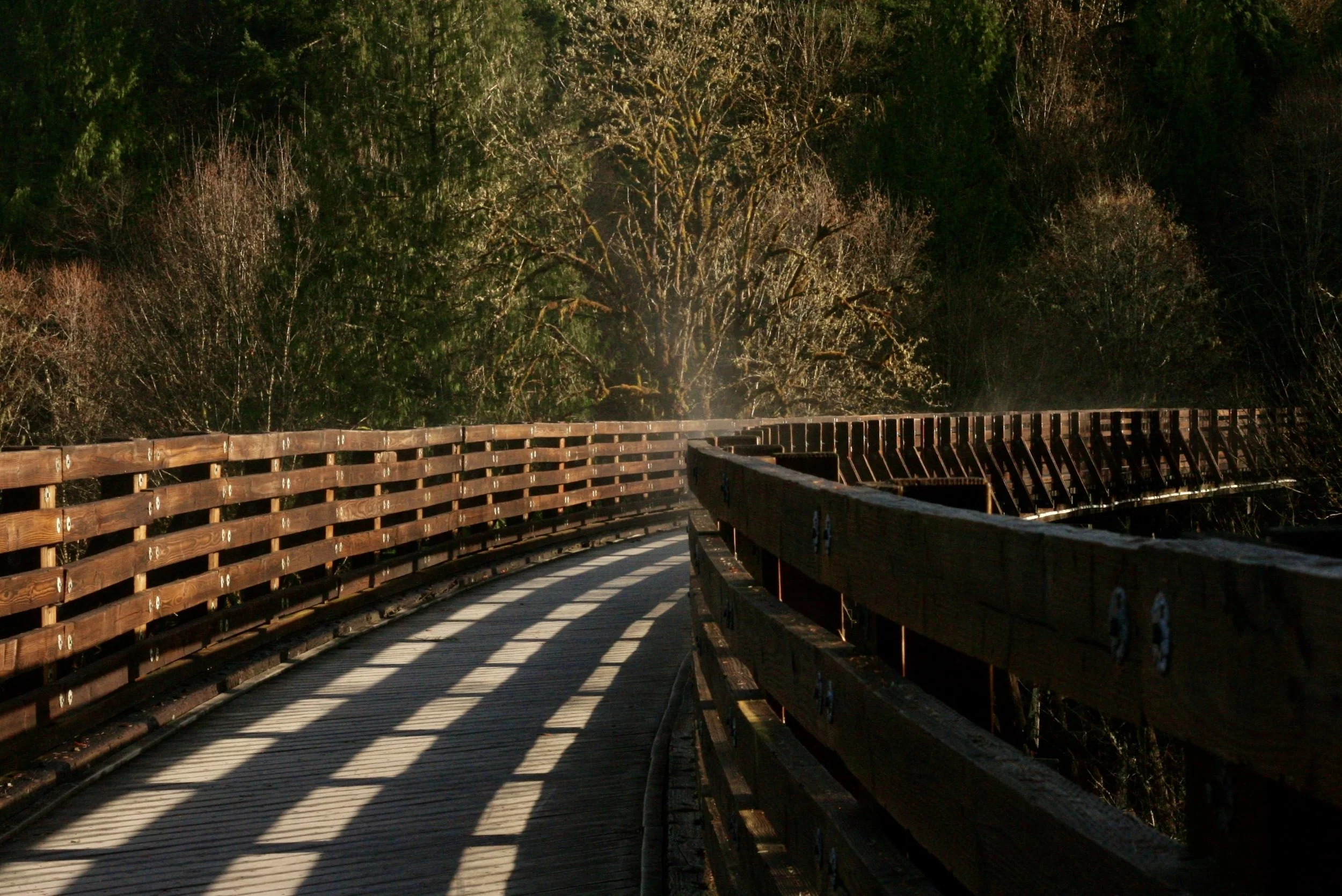 Curved bridge with sunlight on it that leads to a forest trail