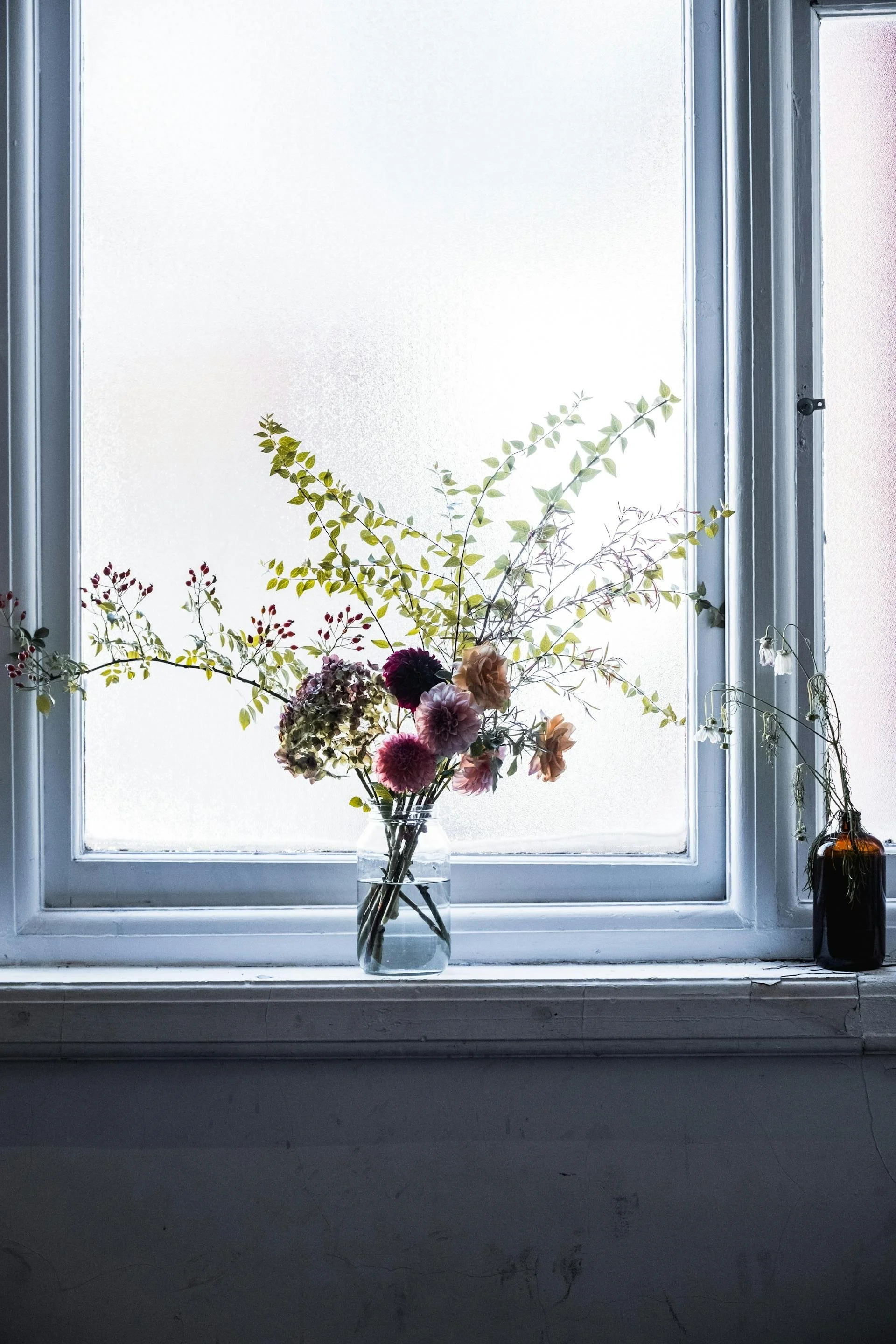 Beautiful flowers backlit by sunlight in a window with a white frame