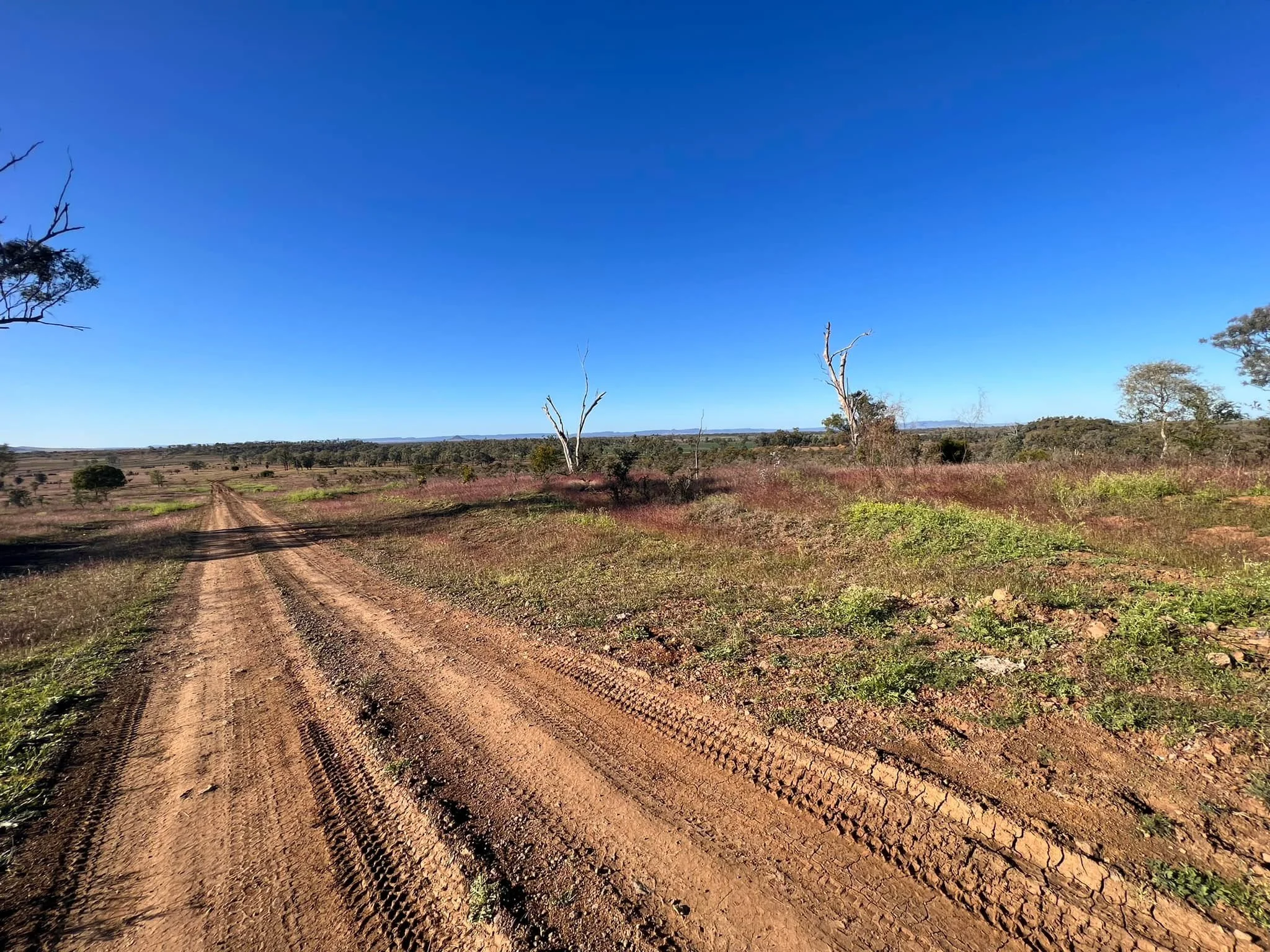 A dirt road running through a dry, open landscape with sparse trees under a clear blue sky.