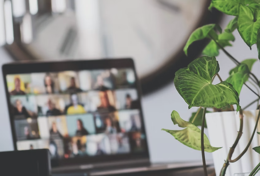 A laptop computer on a desk displaying a video conference with multiple participants, with a green potted plant nearby.