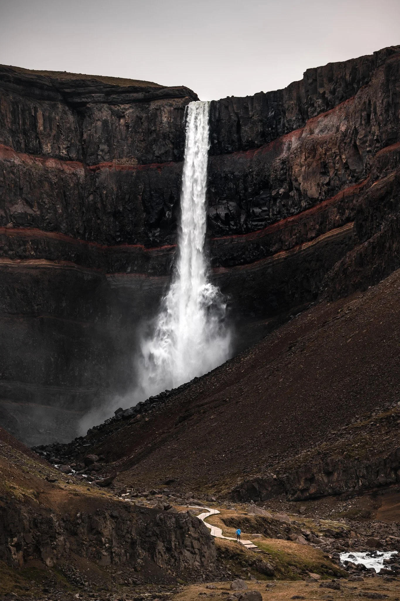 _DSC5247.jpg