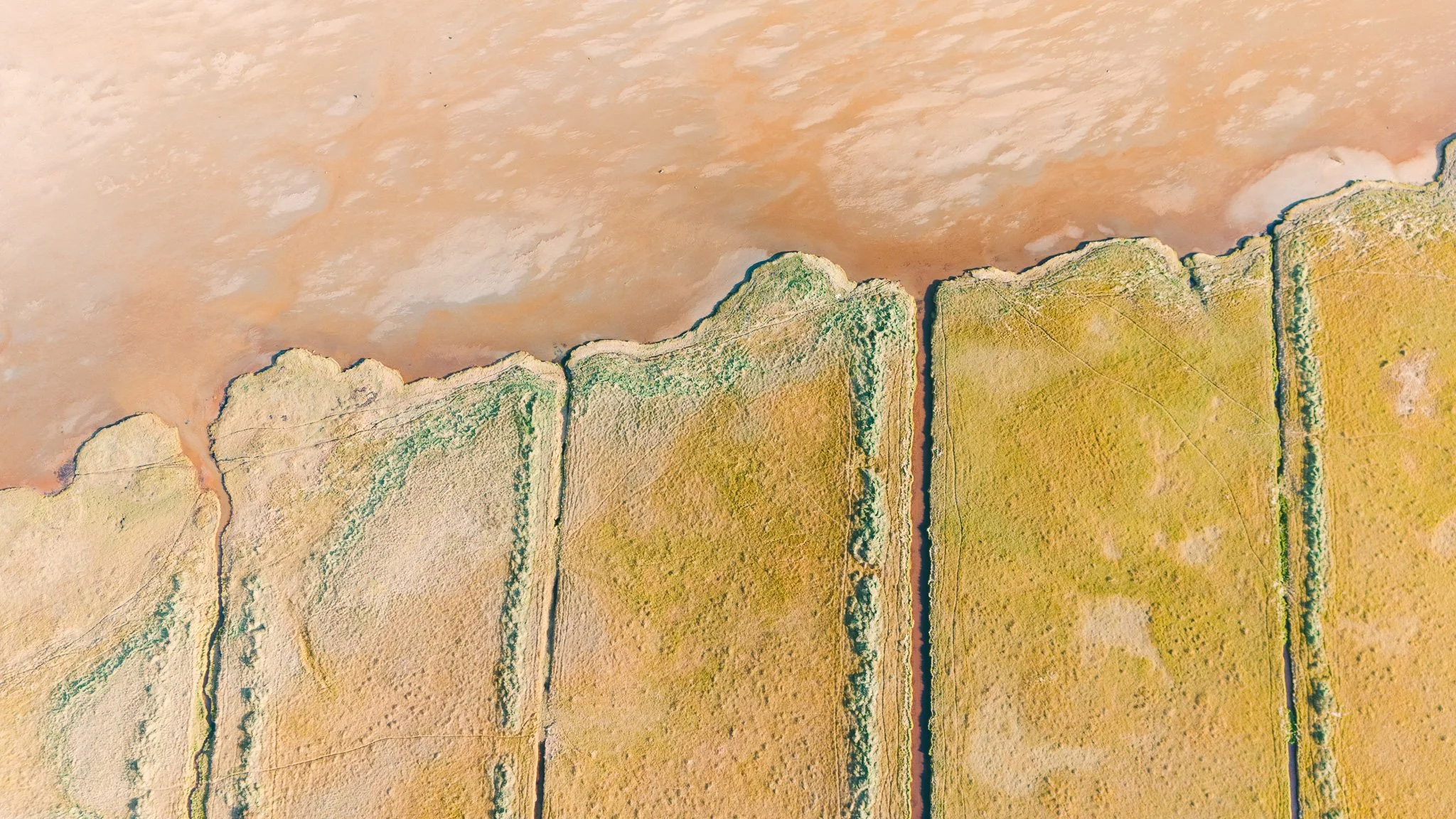 DJI_20240913170304_0375_D.jpg