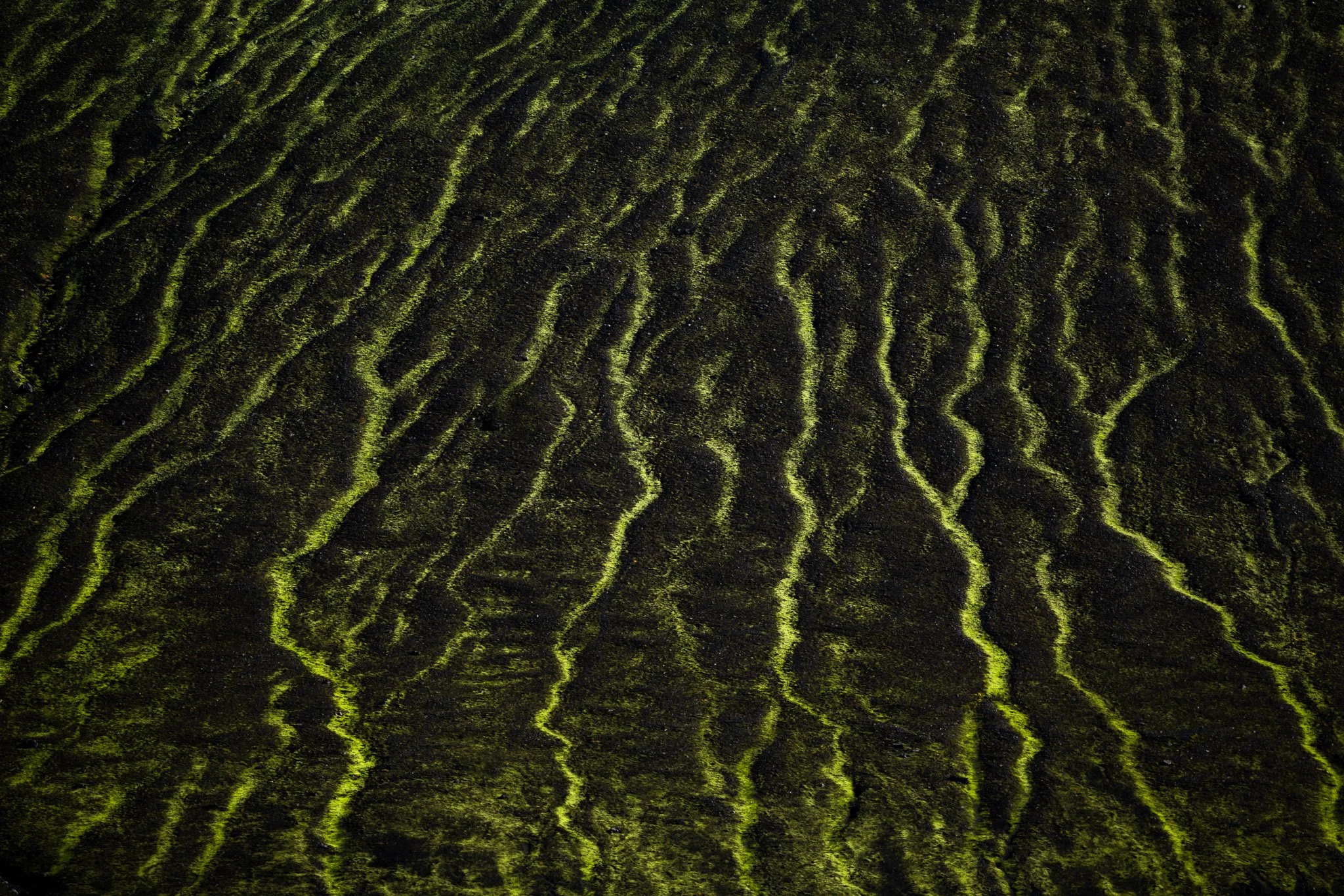 _DSC9595.jpg