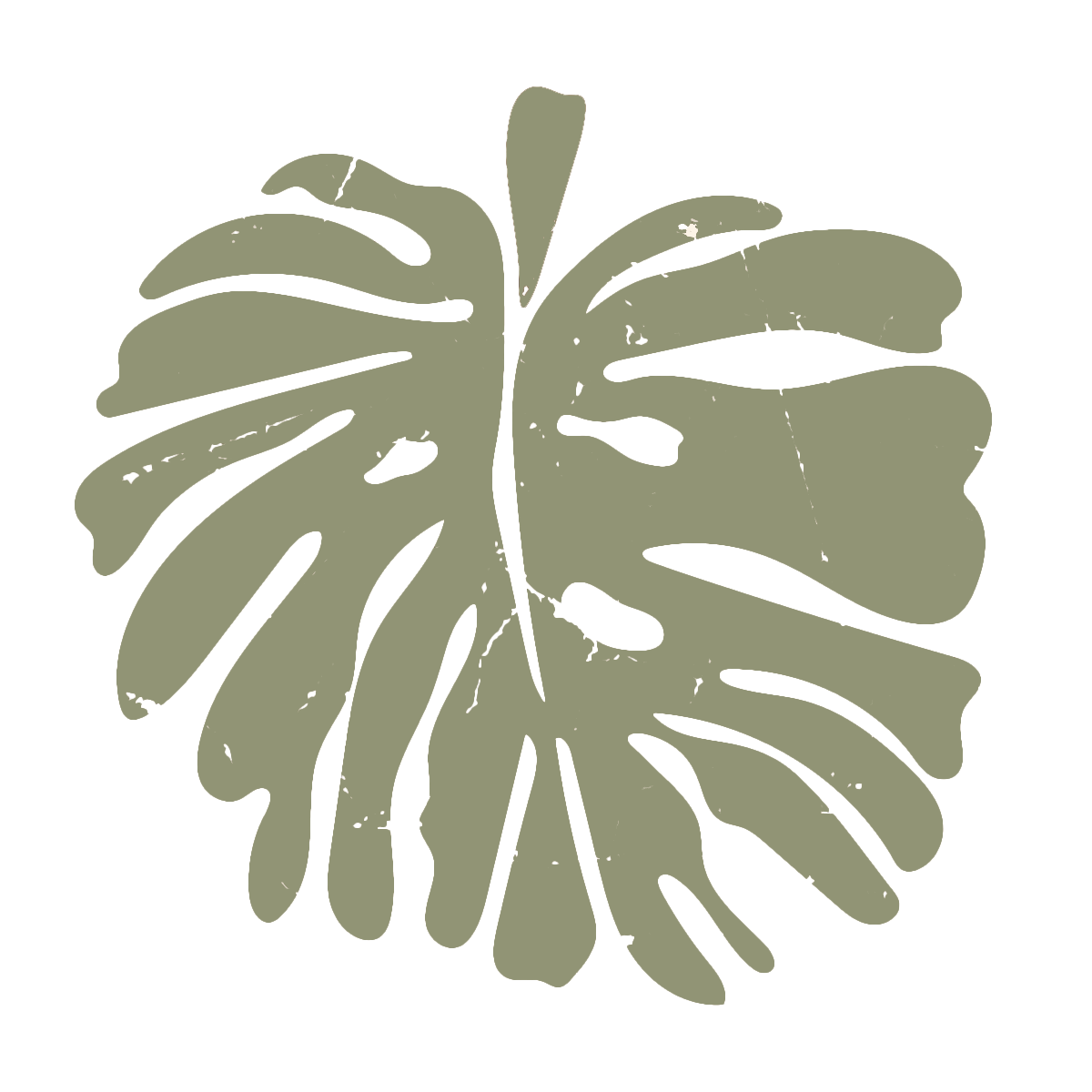 A silhouette of a large monstera leaf in grayish-green against a black background.