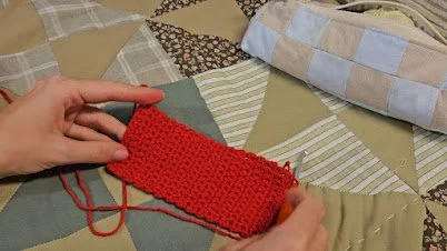 20260811_155037.jpg