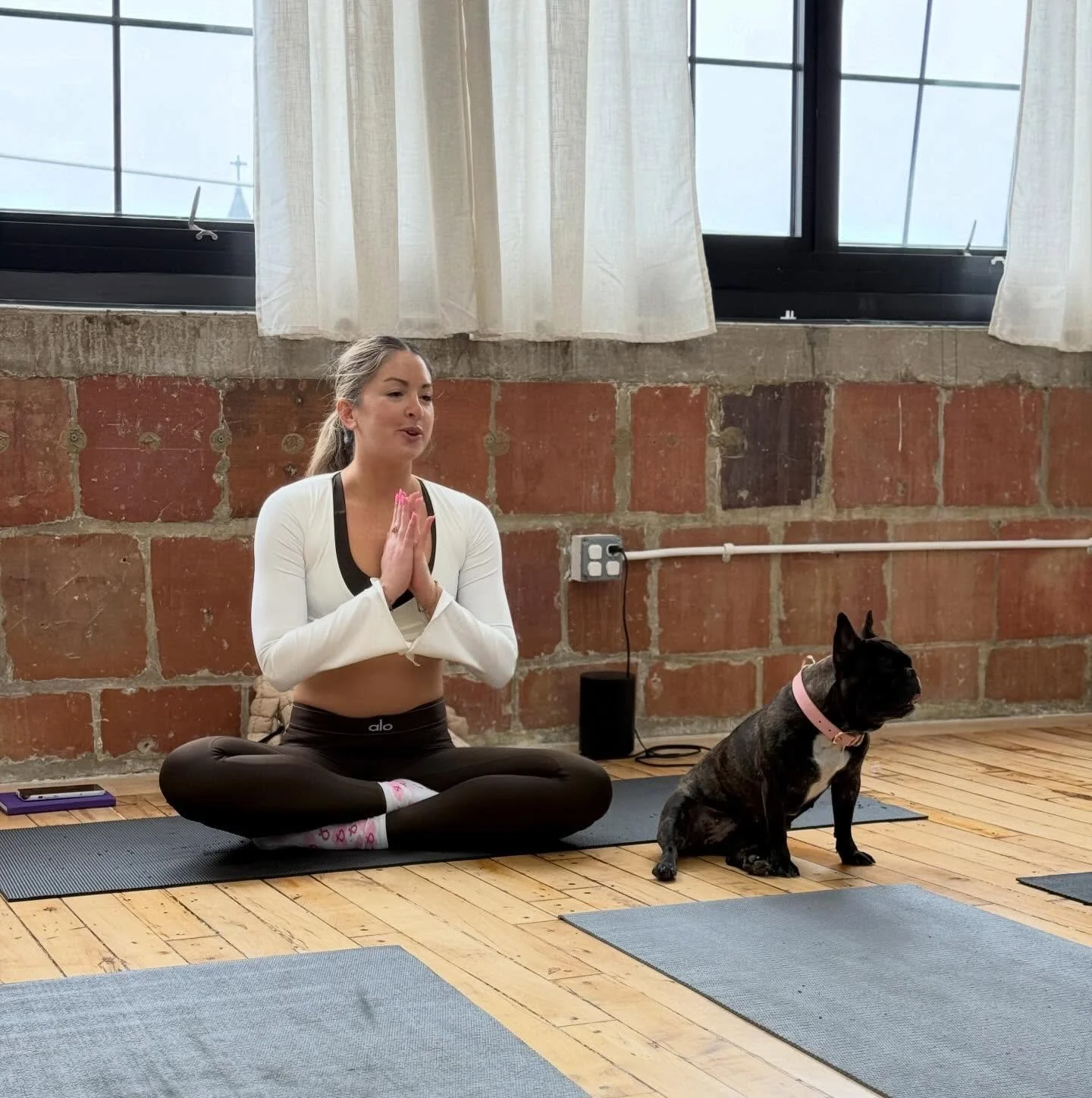 Namaste &amp; Play with our furry yoga instructors