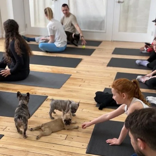 Zen Puppy Yoga therapy is for all ages! Spend your weekend doing wholesome bonding through this unforgettable experience🐶🌿🧘🏻&zwj;♀️