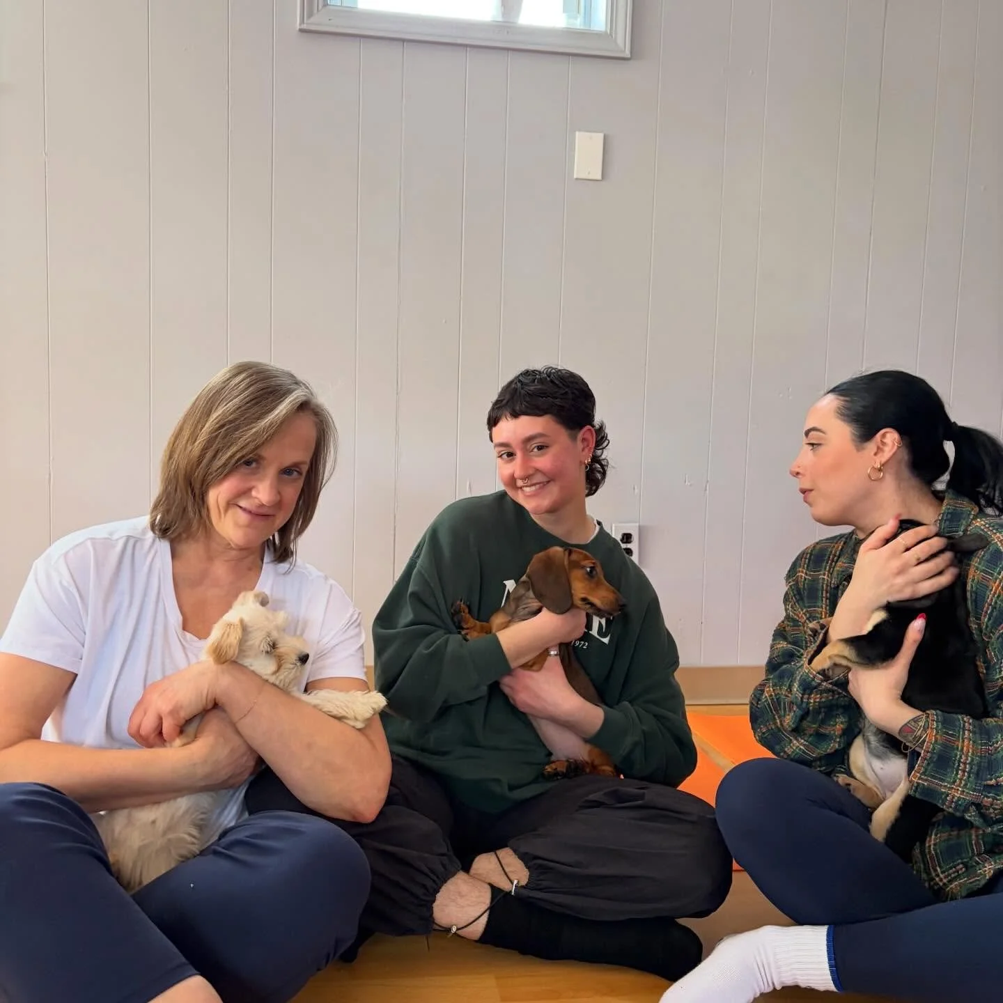 Our Grand Opening was phenomenal, so many laughs and cuddles it was nothing short of pure joy! Thank you to everyone who attended, we hope to see you again🐶🐾❤️