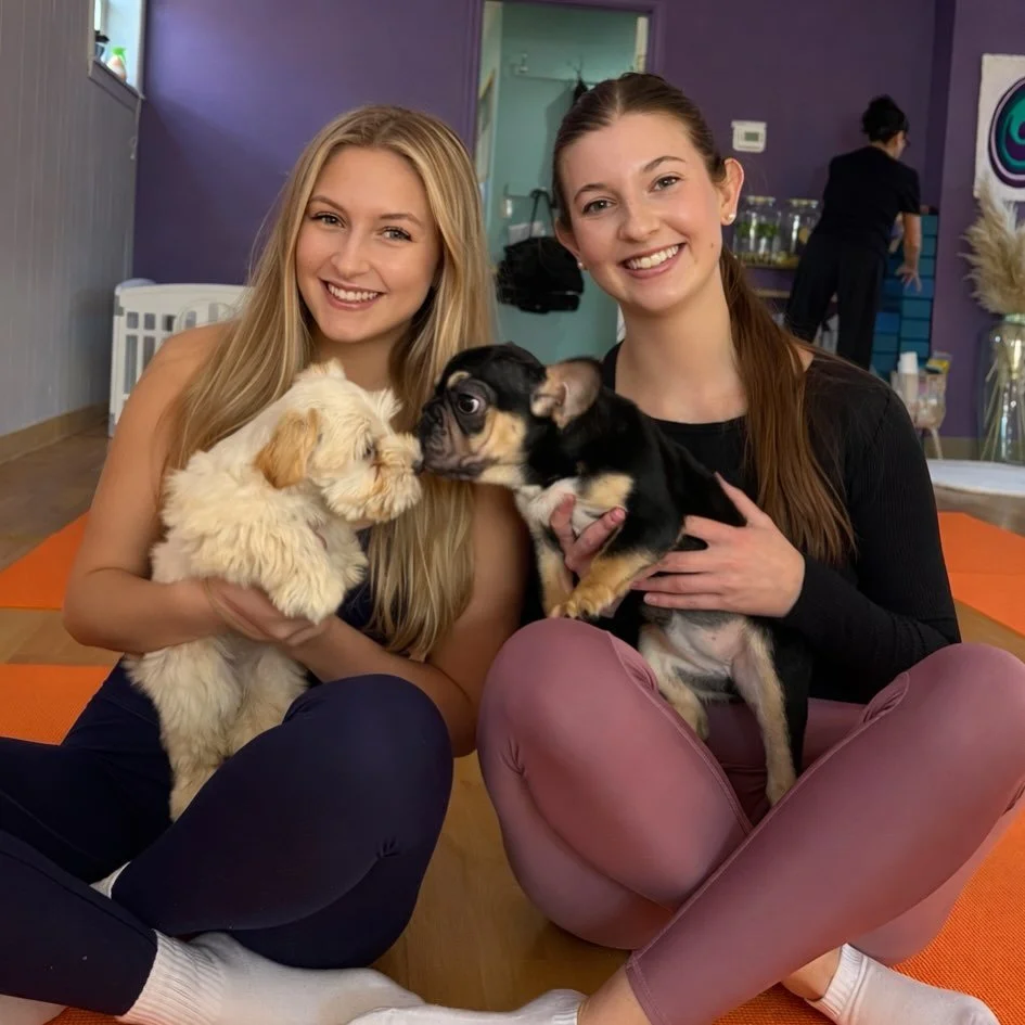 Thank you for joining our March sessions🐶🐾