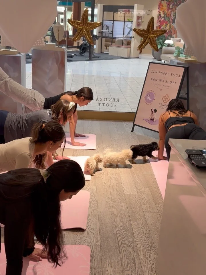 Kendra Scott x Zen Puppy Yoga
Thank you so much @vitalflow.nj for leading the class
And to everyone who participated in such a lovely event