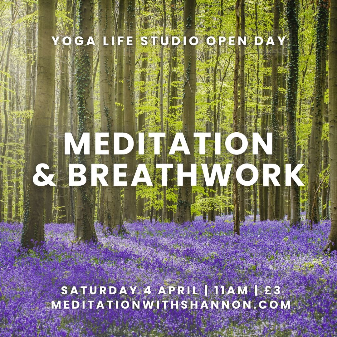 Spring Taster Session: Meditation & Breathwork