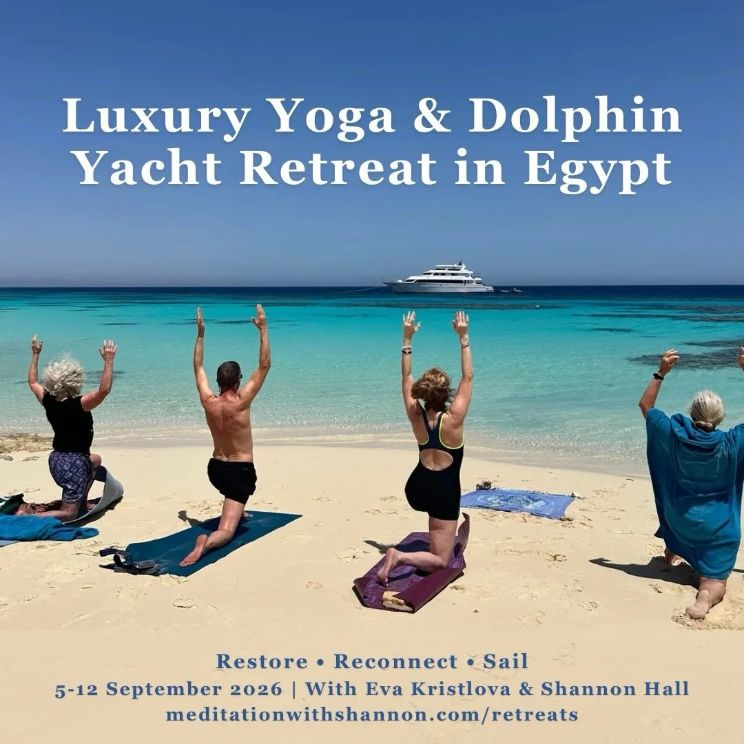 @evakristlova and I are hosting a Luxury Yoga &amp; Dolphin Yacht Retreat in Egypt, from September 5-12, 2026 🛥️✨
 Set against the shimmering warm waters of the Red Sea, this yacht-based retreat offers a rare renewal for body and mind, with sunrise 