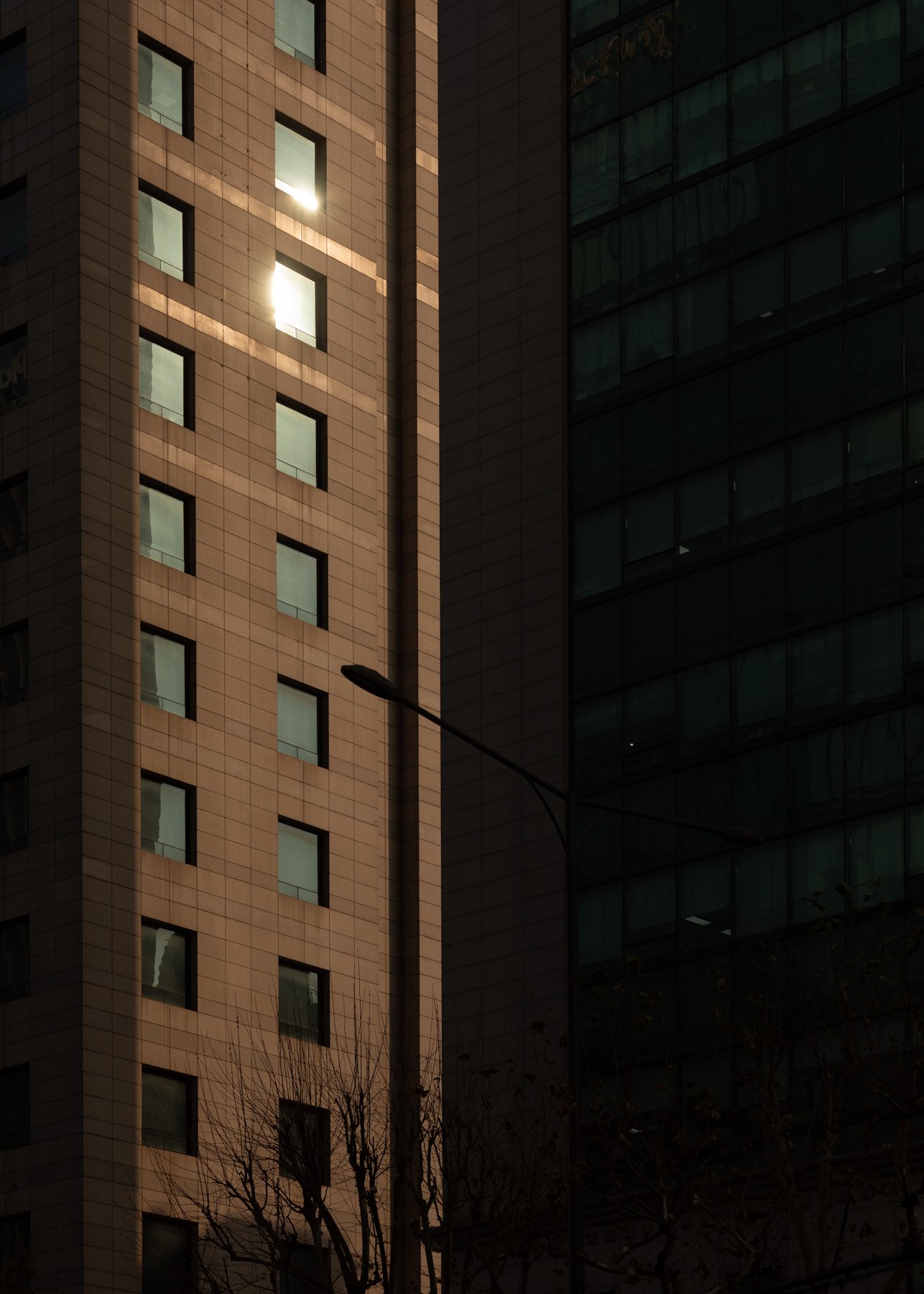 _66A7569.jpg