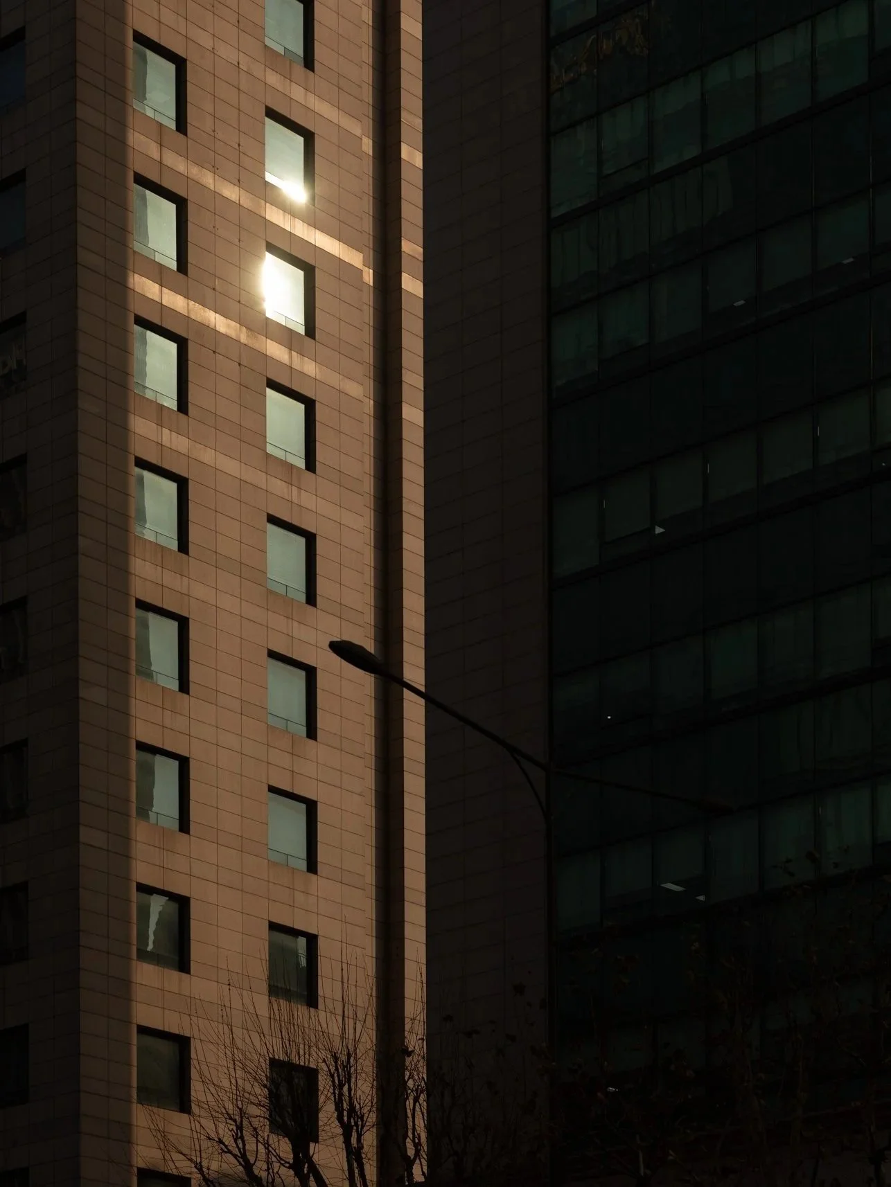 Edificio Arquitectura