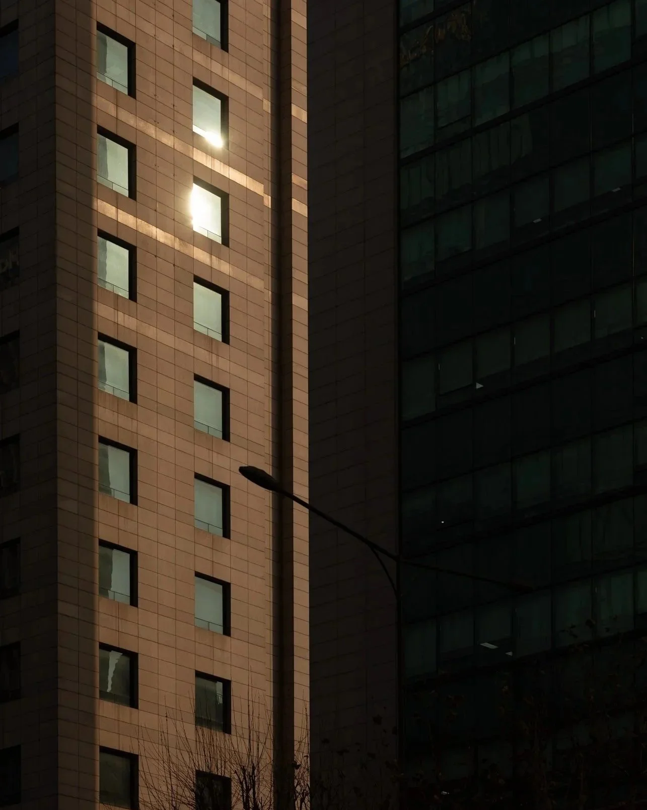 _66A7569.jpg